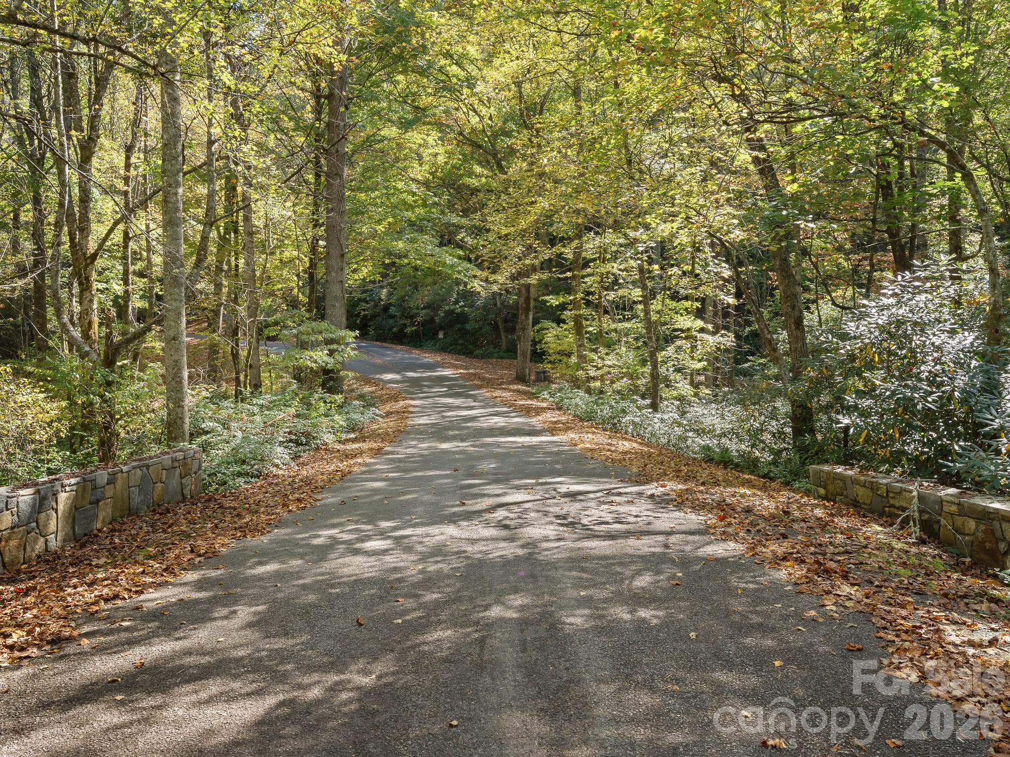 Lot at Lot 15 Spanish Oak Drive, Cedar Mountain, photo 4 of 19