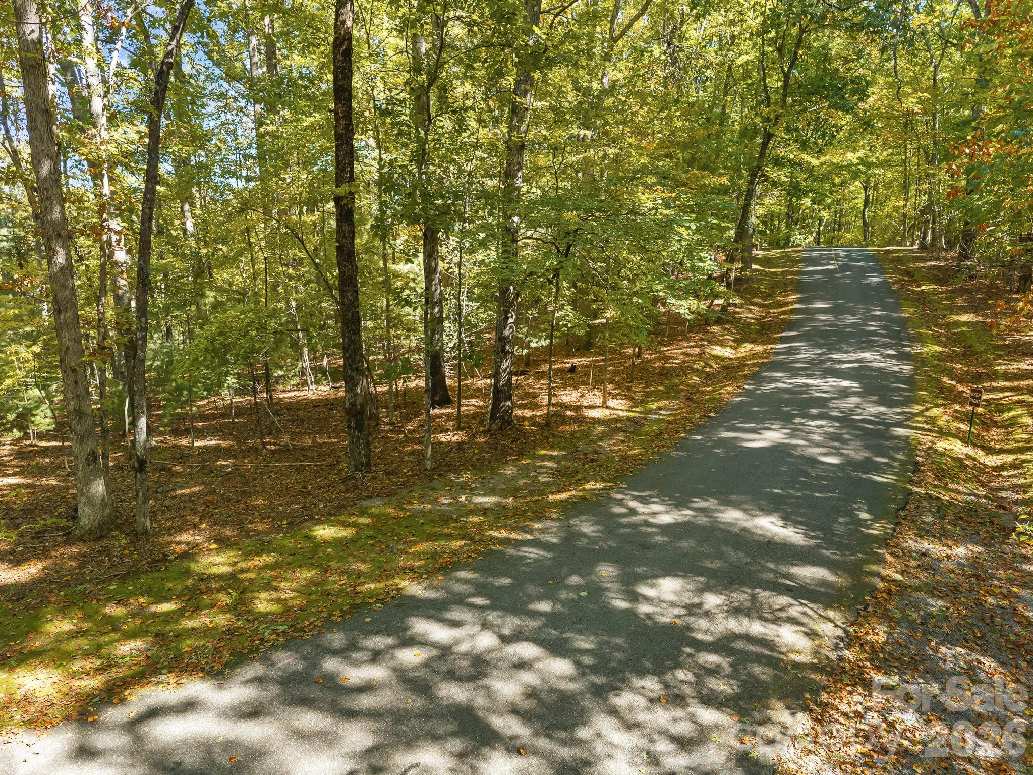 Lot at Lot 15 Spanish Oak Drive, Cedar Mountain, photo 6 of 19