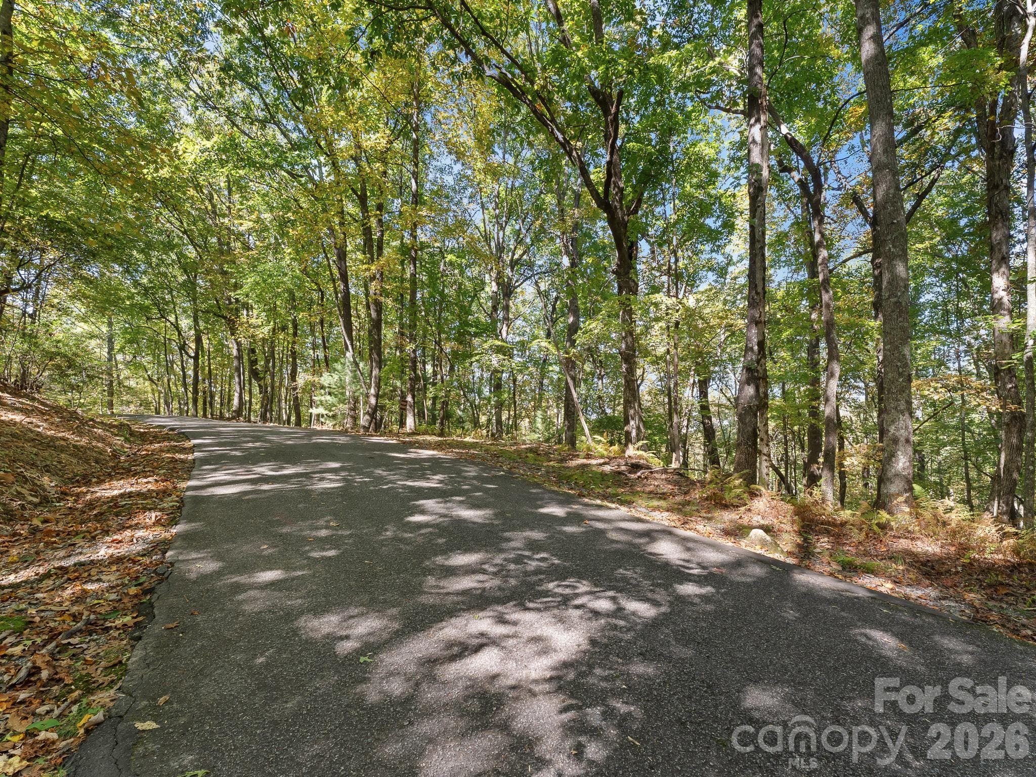 Lot at Lot 15 Spanish Oak Drive, Cedar Mountain, photo 8 of 19