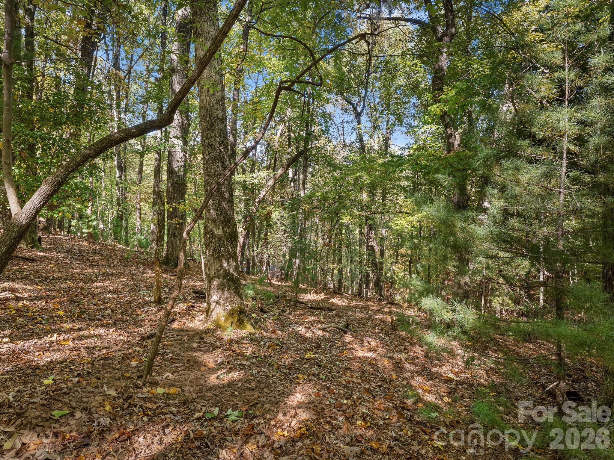 Lot at Lot 15 Spanish Oak Drive, Cedar Mountain, photo 9 of 19