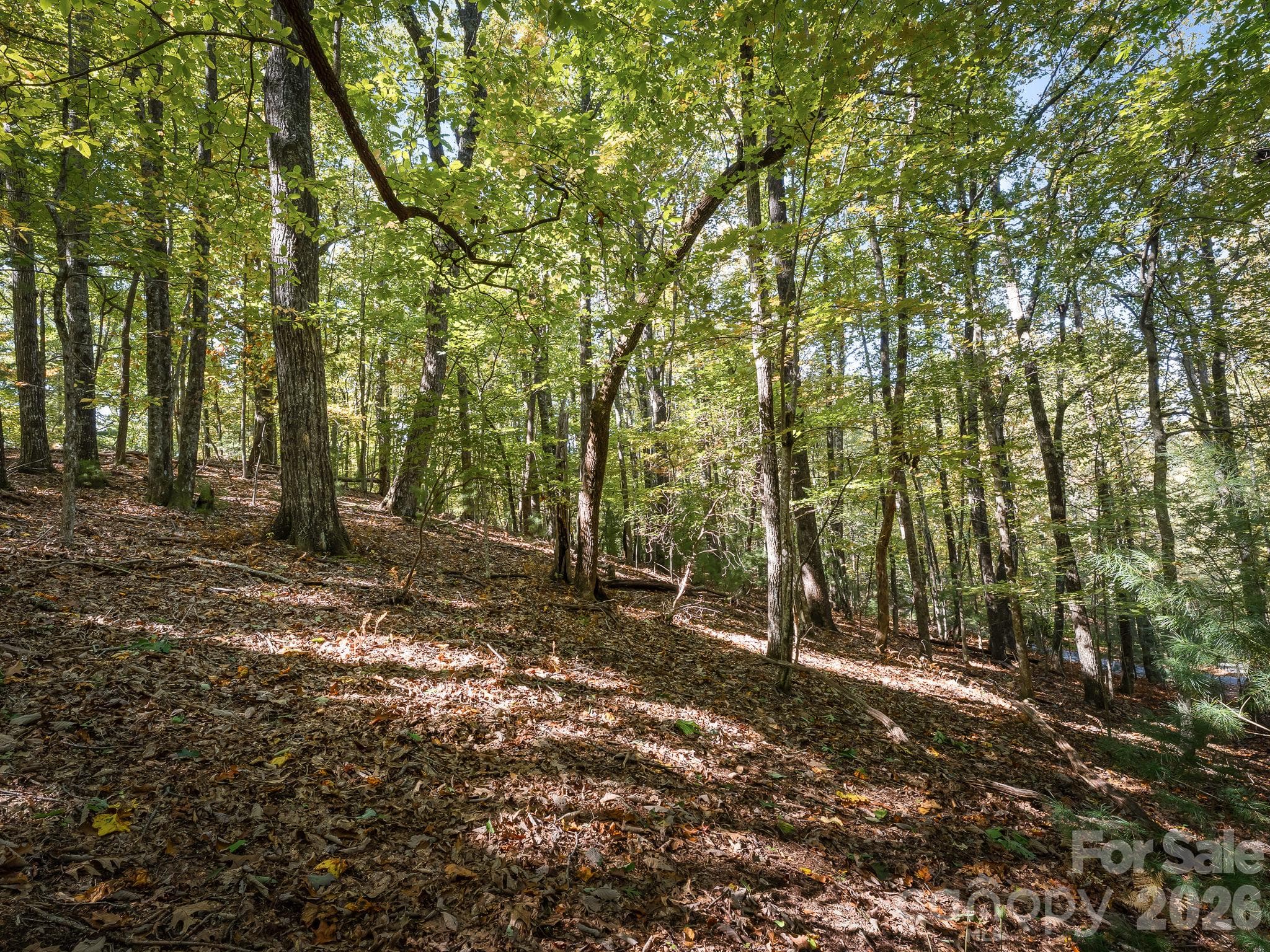 Lot at Lot 15 Spanish Oak Drive, Cedar Mountain, photo 11 of 19
