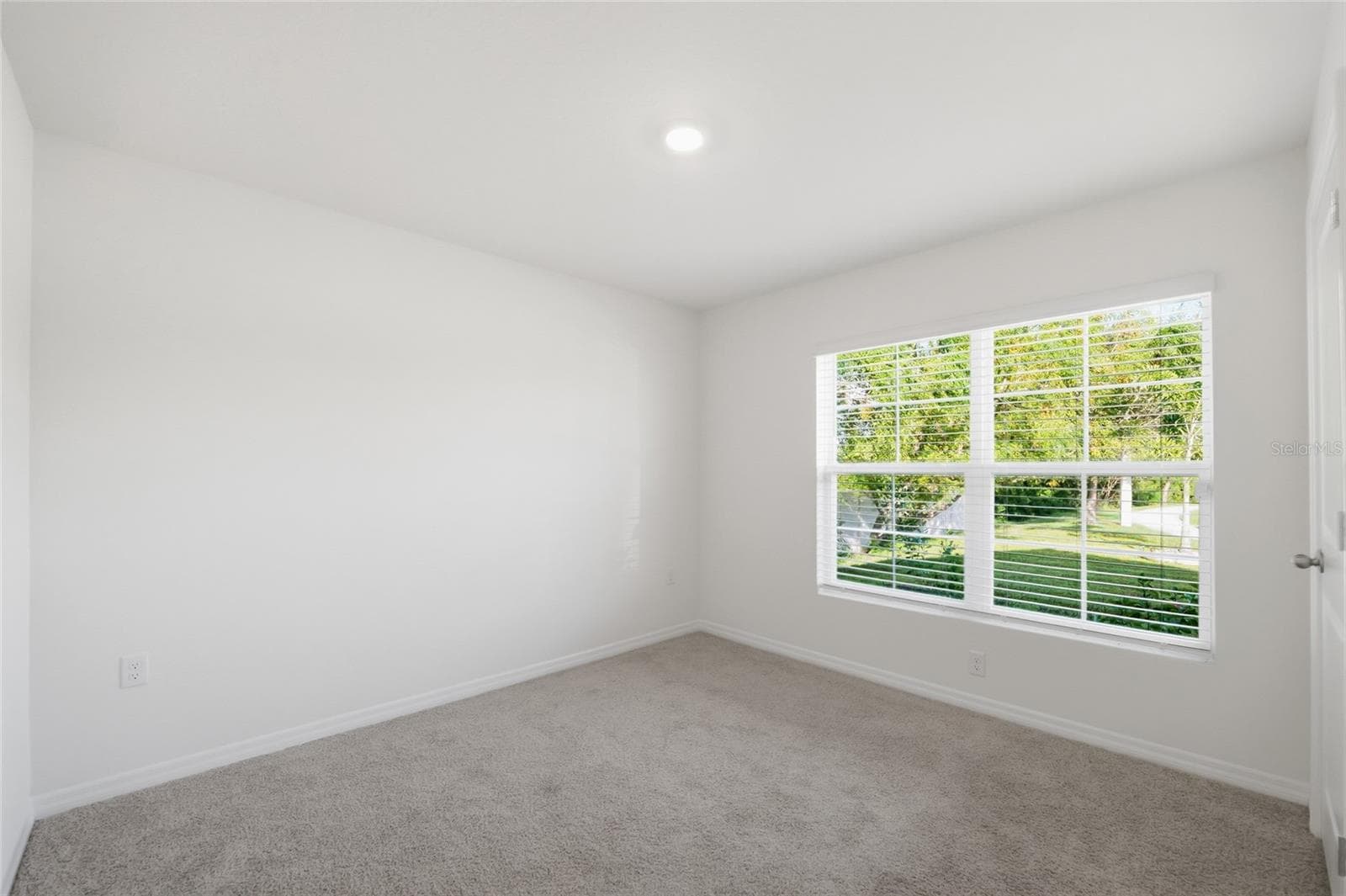 Single Family Residence at 11805 DOWNY BIRCH DR, RIVERVIEW, photo 4 of 45