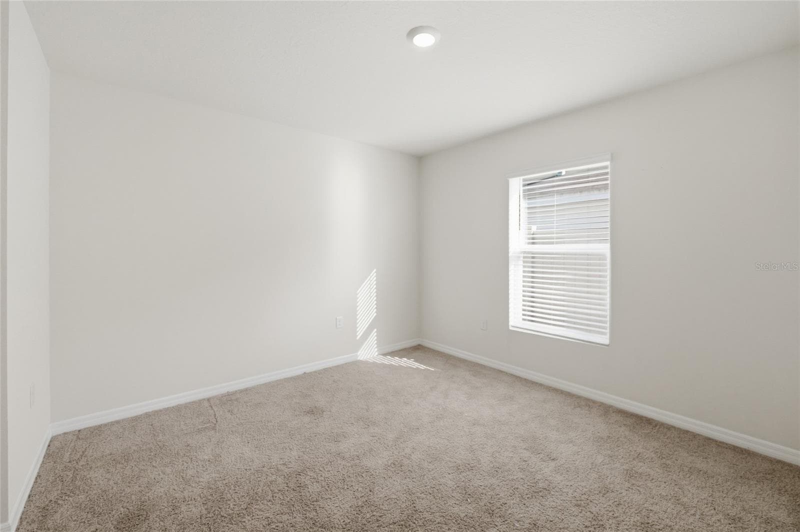 Single Family Residence at 11805 DOWNY BIRCH DR, RIVERVIEW, photo 12 of 45