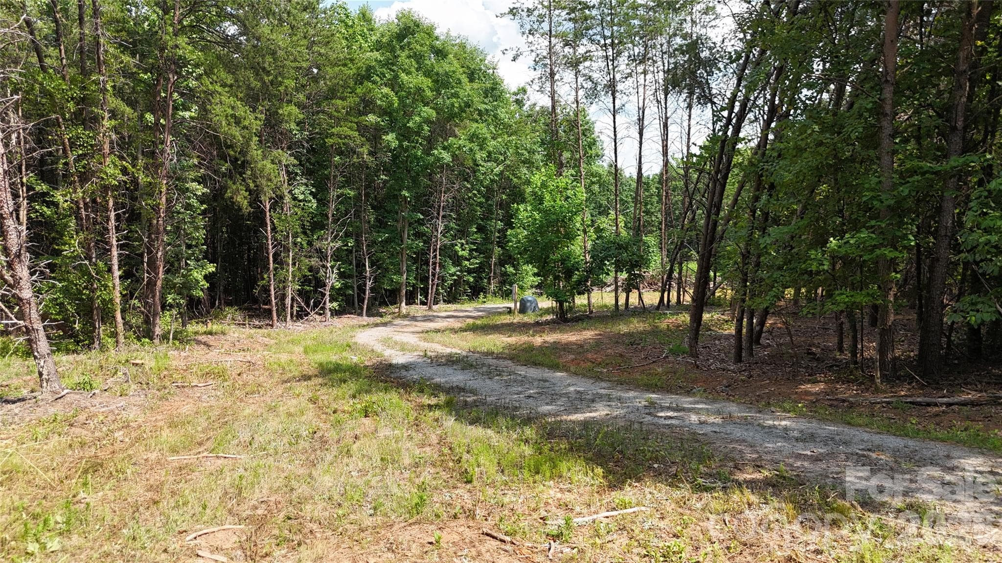 Acreage at TBD Hollis Road, Ellenboro, photo 8 of 16