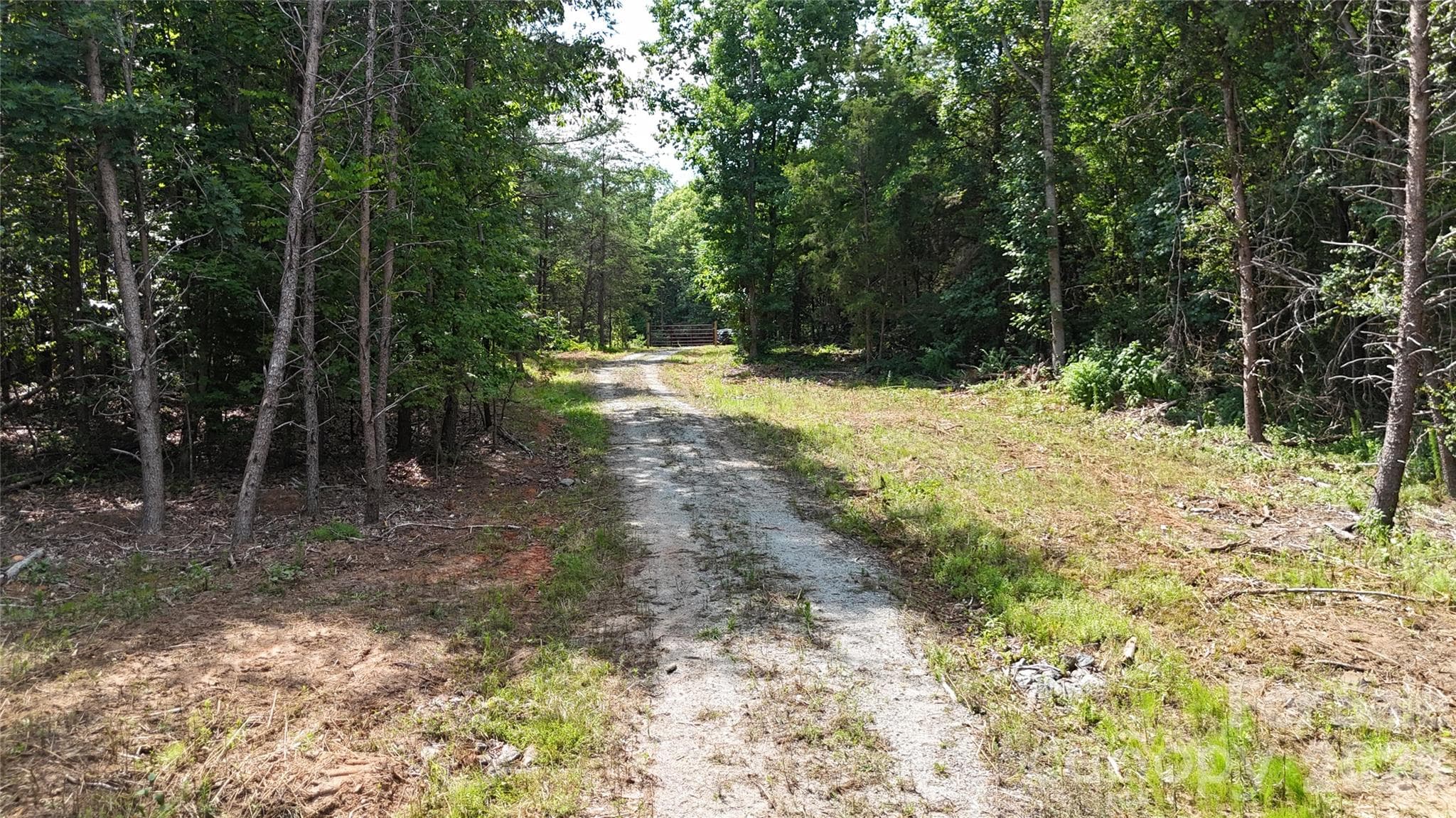 Acreage at TBD Hollis Road, Ellenboro, photo 12 of 16