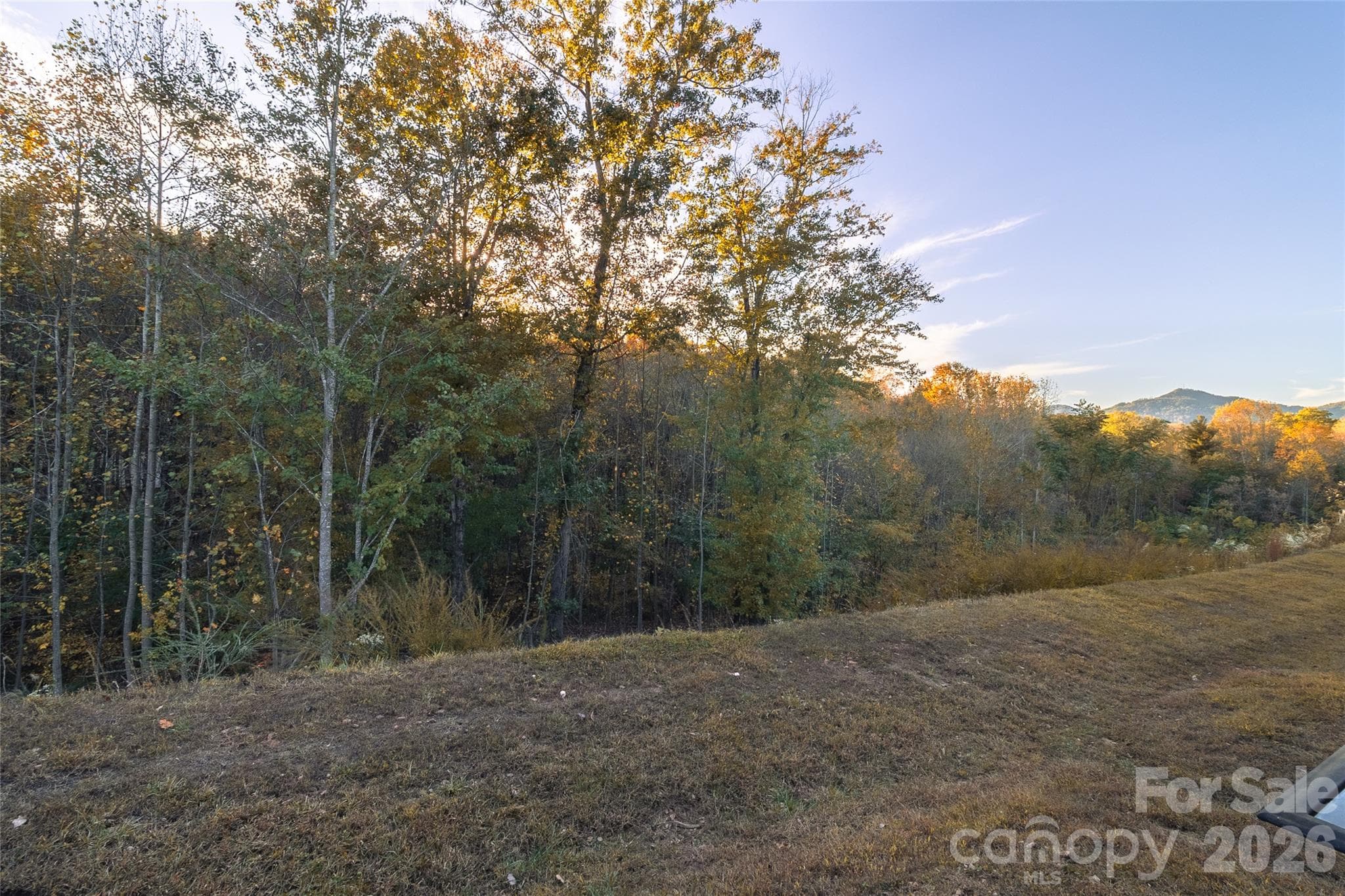 Enjoy mountain views from your back patio. - 34 Cain Hollow Way, Asheville