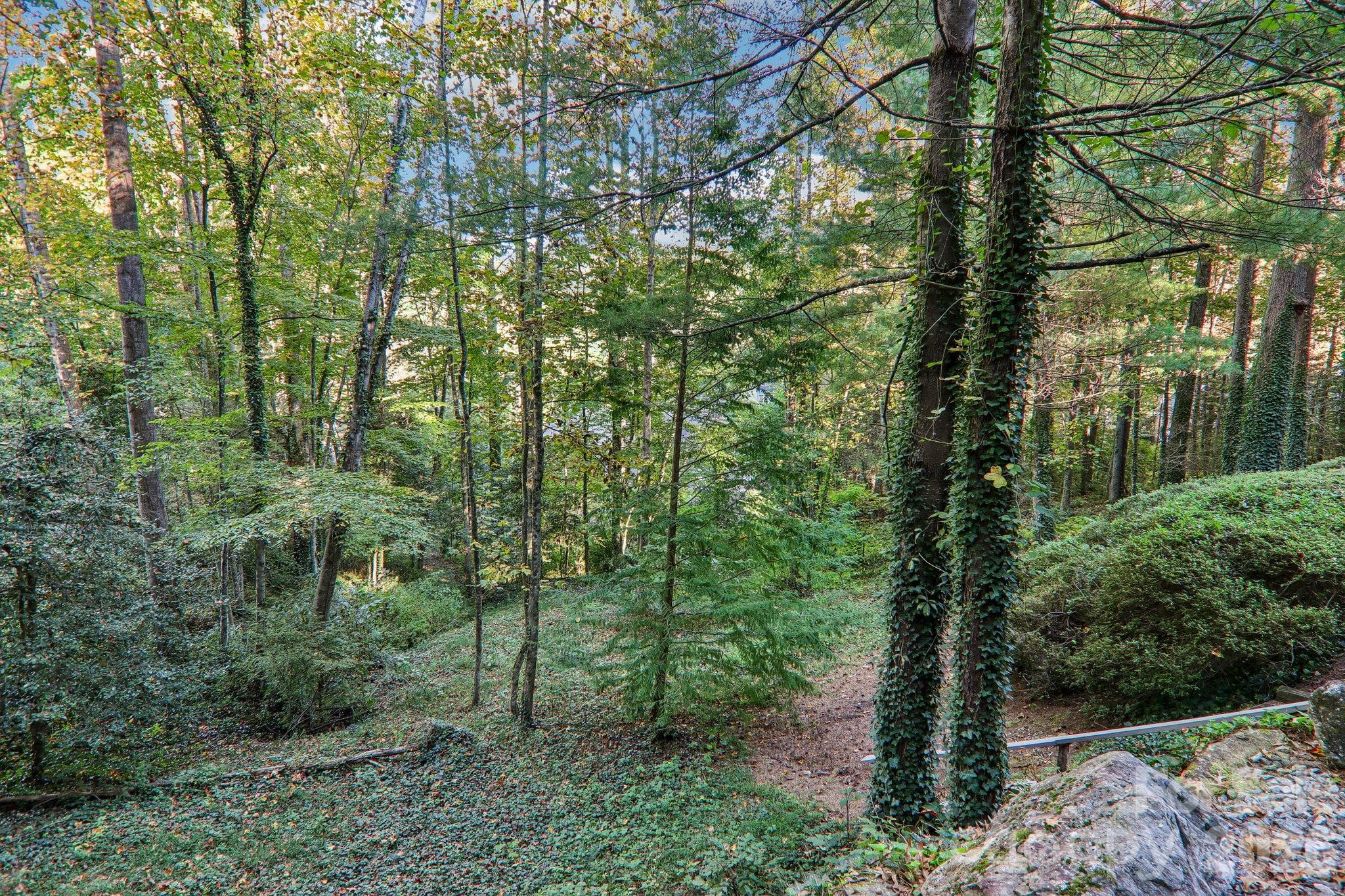 Wooded lot providing privacy - 212 Pheasant Run, Hendersonville