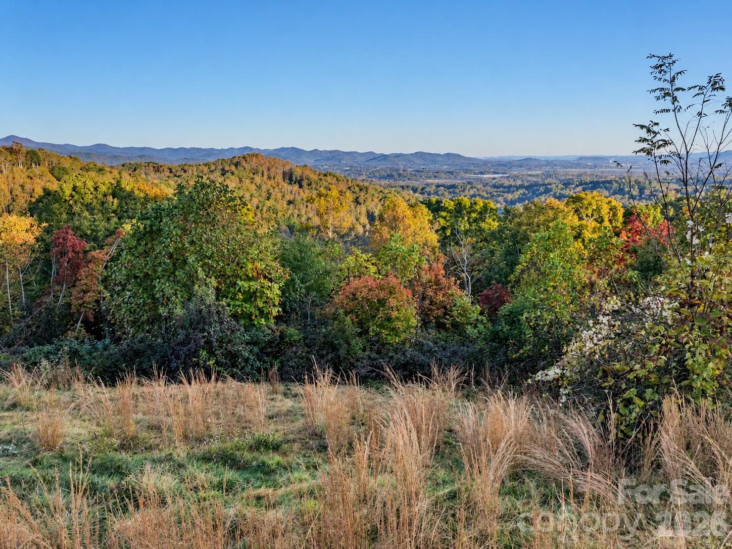 Lot at 00 Skydance Trail, Hendersonville, photo 5 of 23