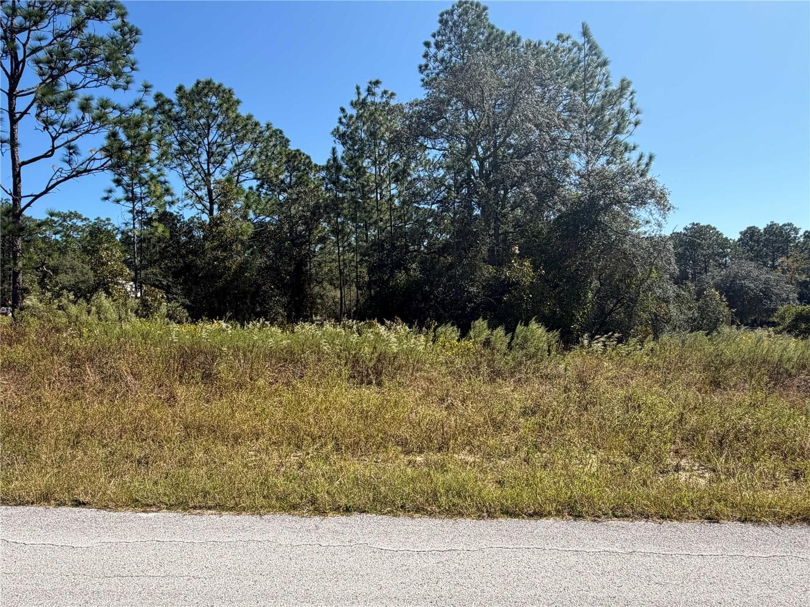 Land at Lot 42 SW AZALEA CT, DUNNELLON, photo 2 of 25