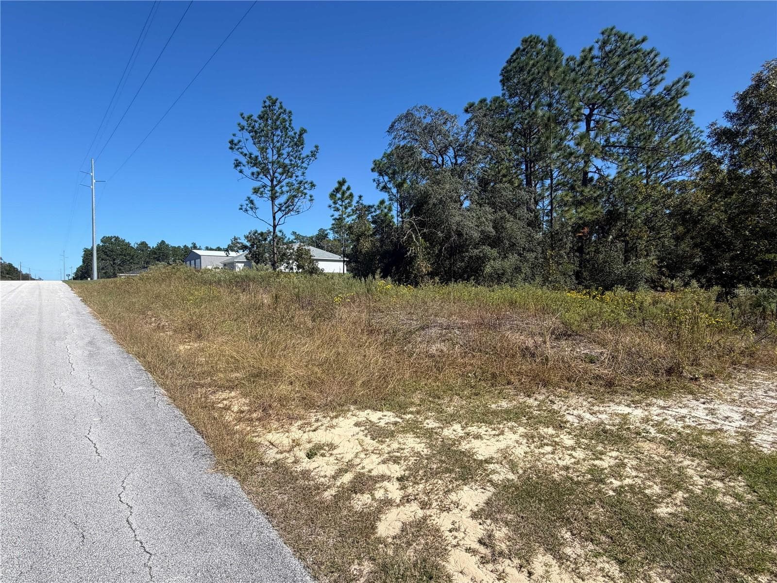 Land at Lot 42 SW AZALEA CT, DUNNELLON, photo 3 of 25
