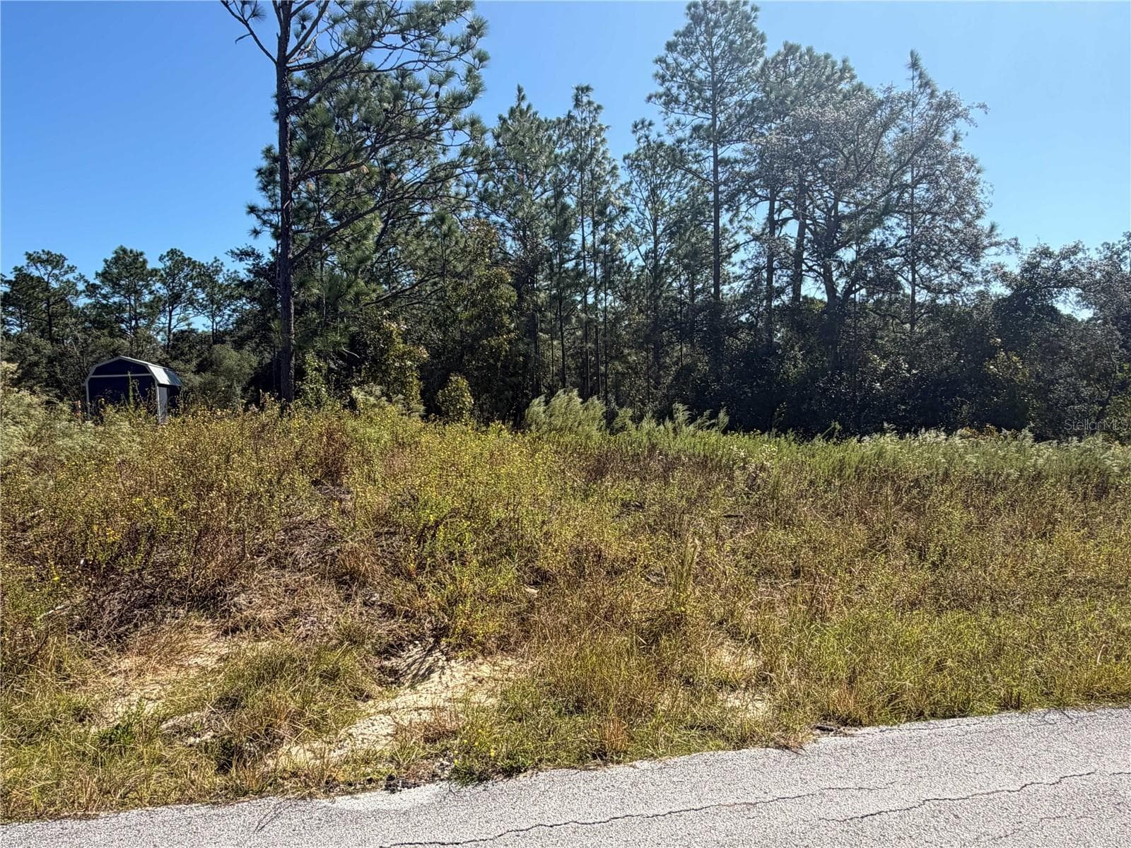 Land at Lot 42 SW AZALEA CT, DUNNELLON, photo 4 of 25