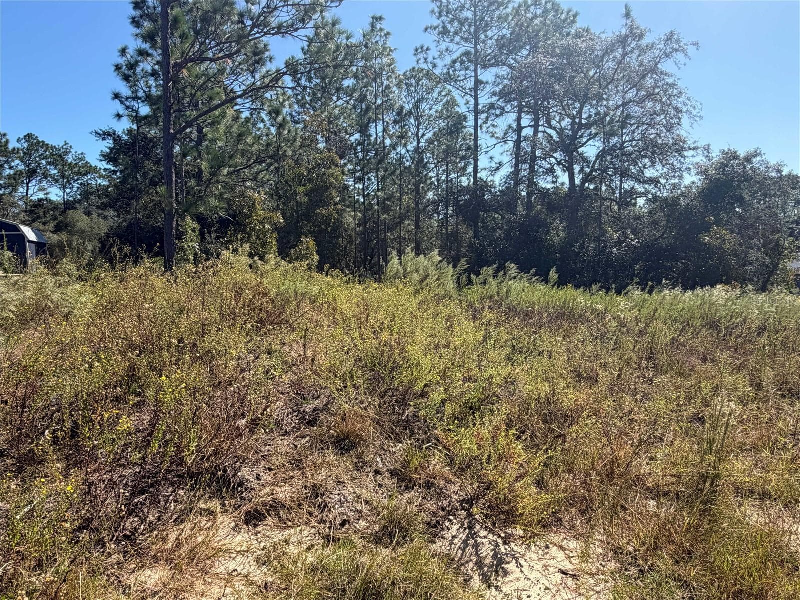 Land at Lot 42 SW AZALEA CT, DUNNELLON, photo 5 of 25