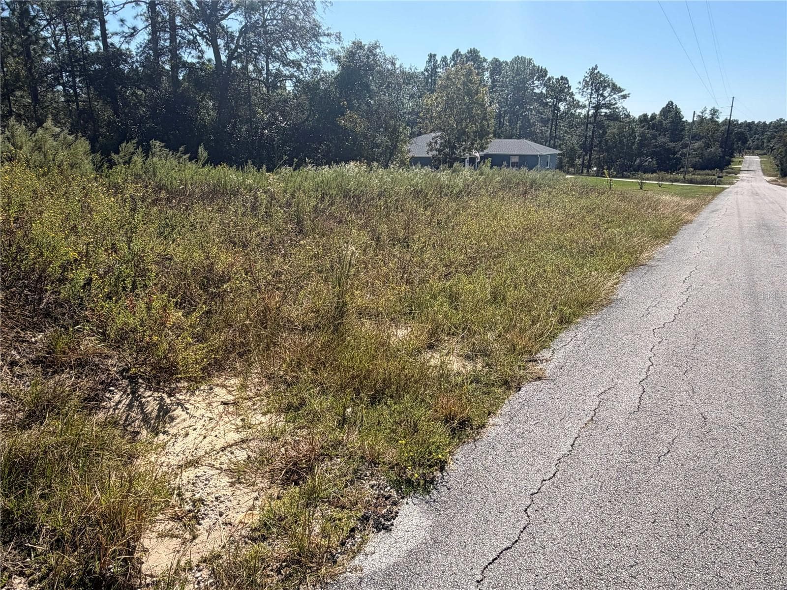 Land at Lot 42 SW AZALEA CT, DUNNELLON, photo 6 of 25