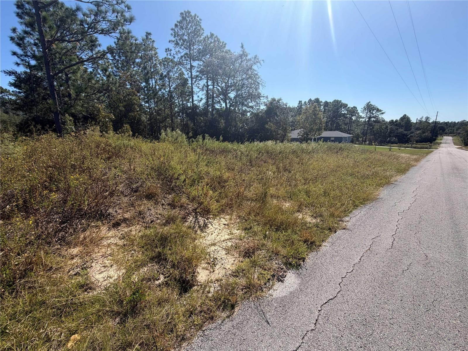 Land at Lot 42 SW AZALEA CT, DUNNELLON, photo 7 of 25