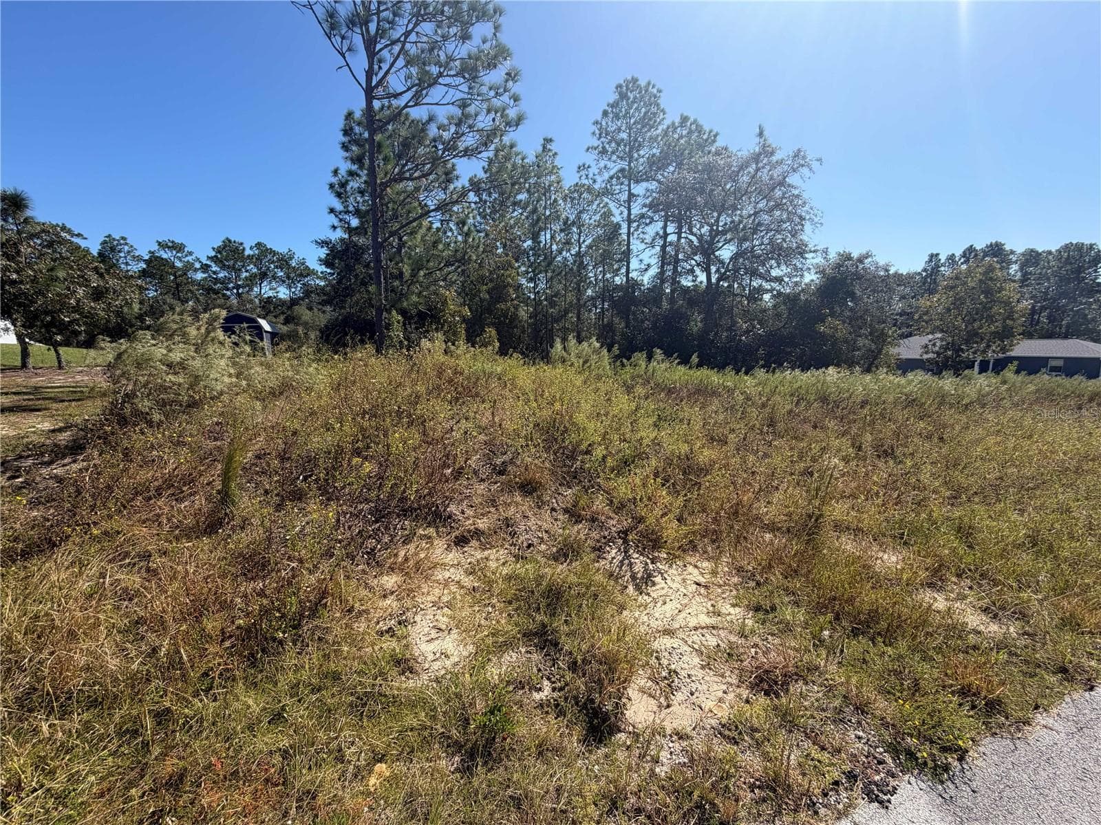 Land at Lot 42 SW AZALEA CT, DUNNELLON, photo 8 of 25