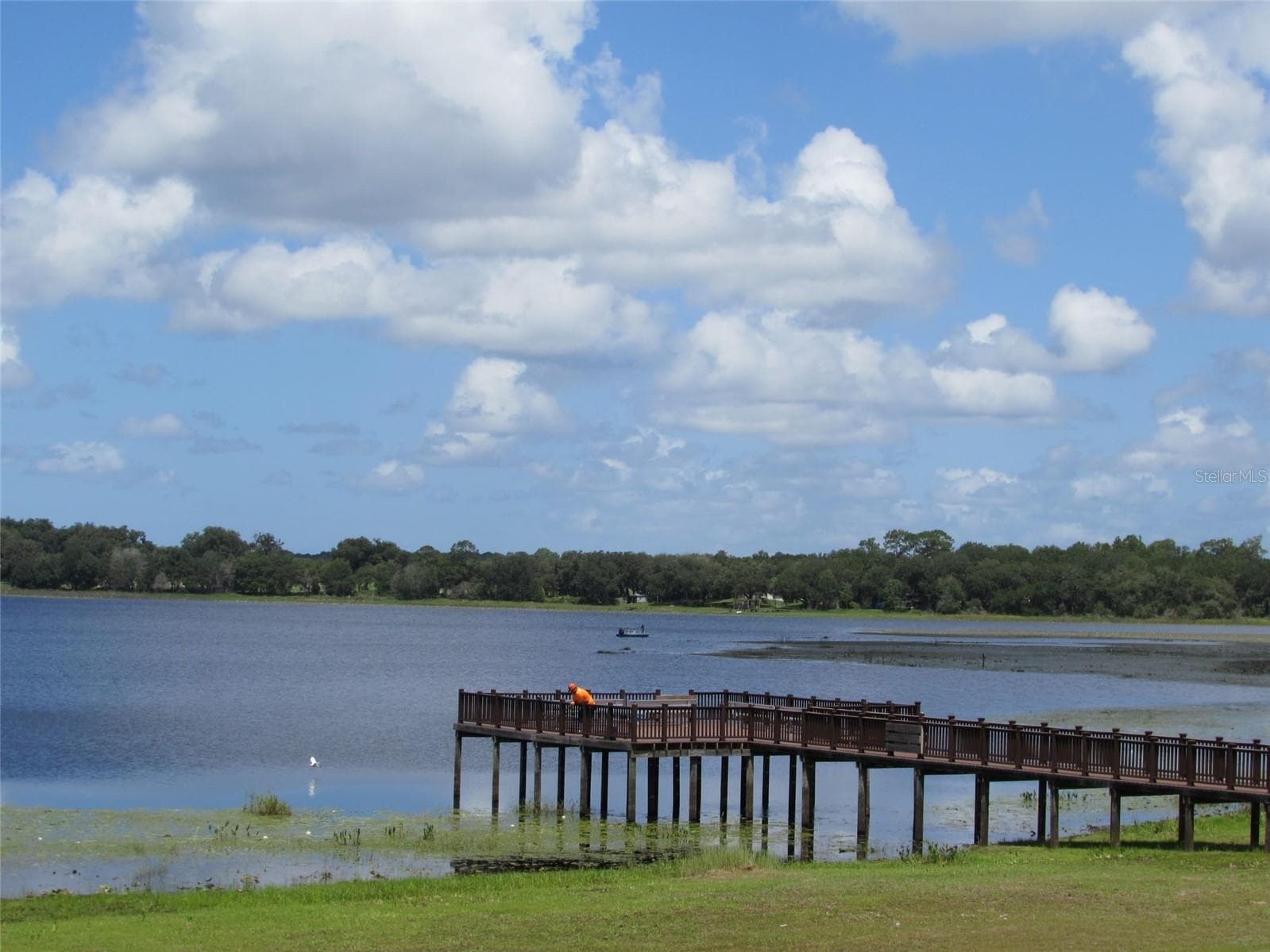 Land at Lot 42 SW AZALEA CT, DUNNELLON, photo 13 of 25