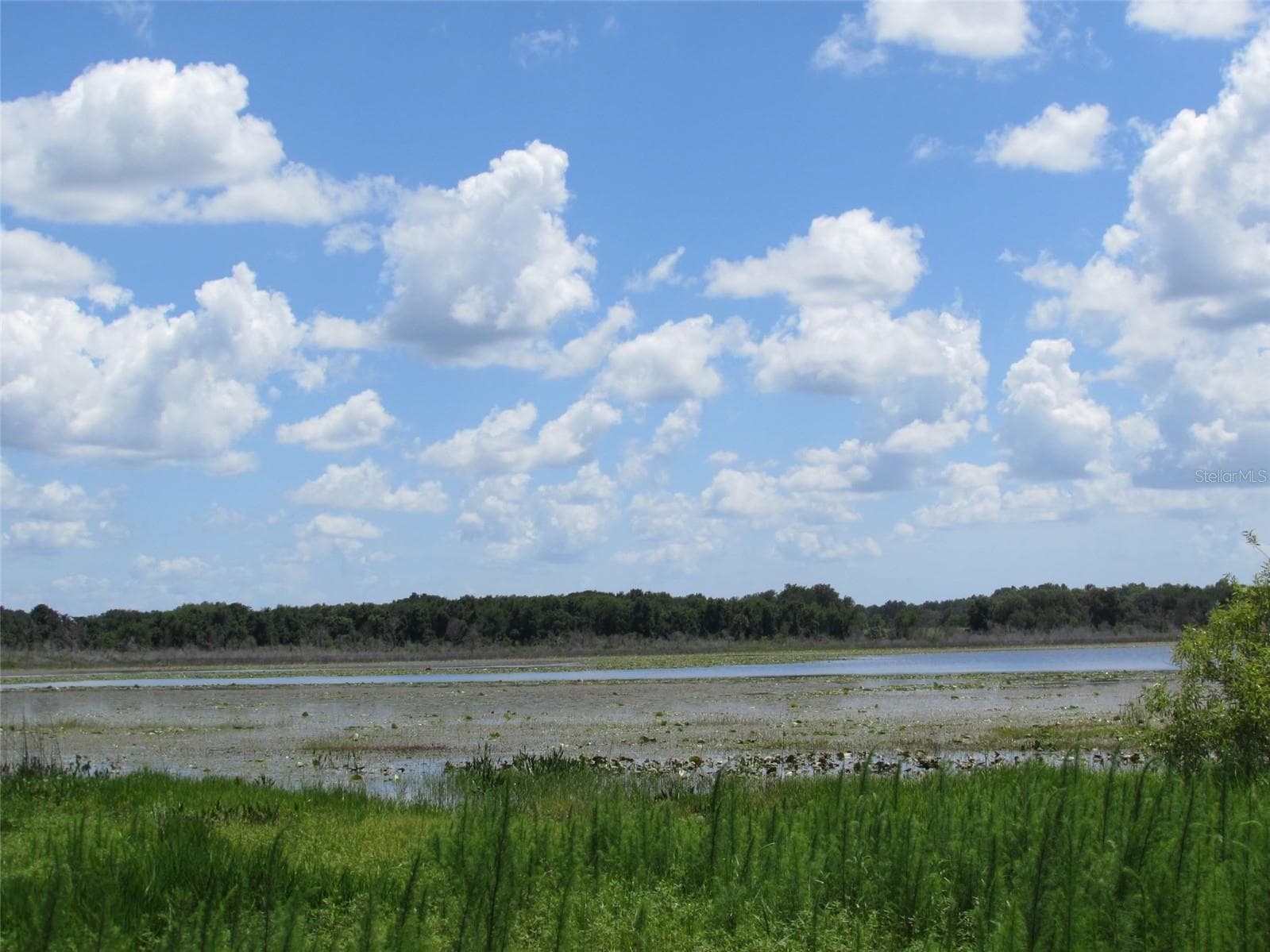 Land at Lot 42 SW AZALEA CT, DUNNELLON, photo 24 of 25