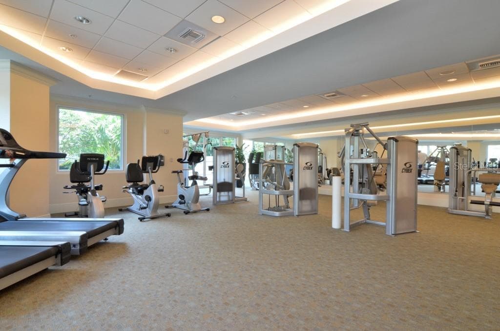 High End Fitness Center - 450 KNIGHTS RUN AVE #803, TAMPA
