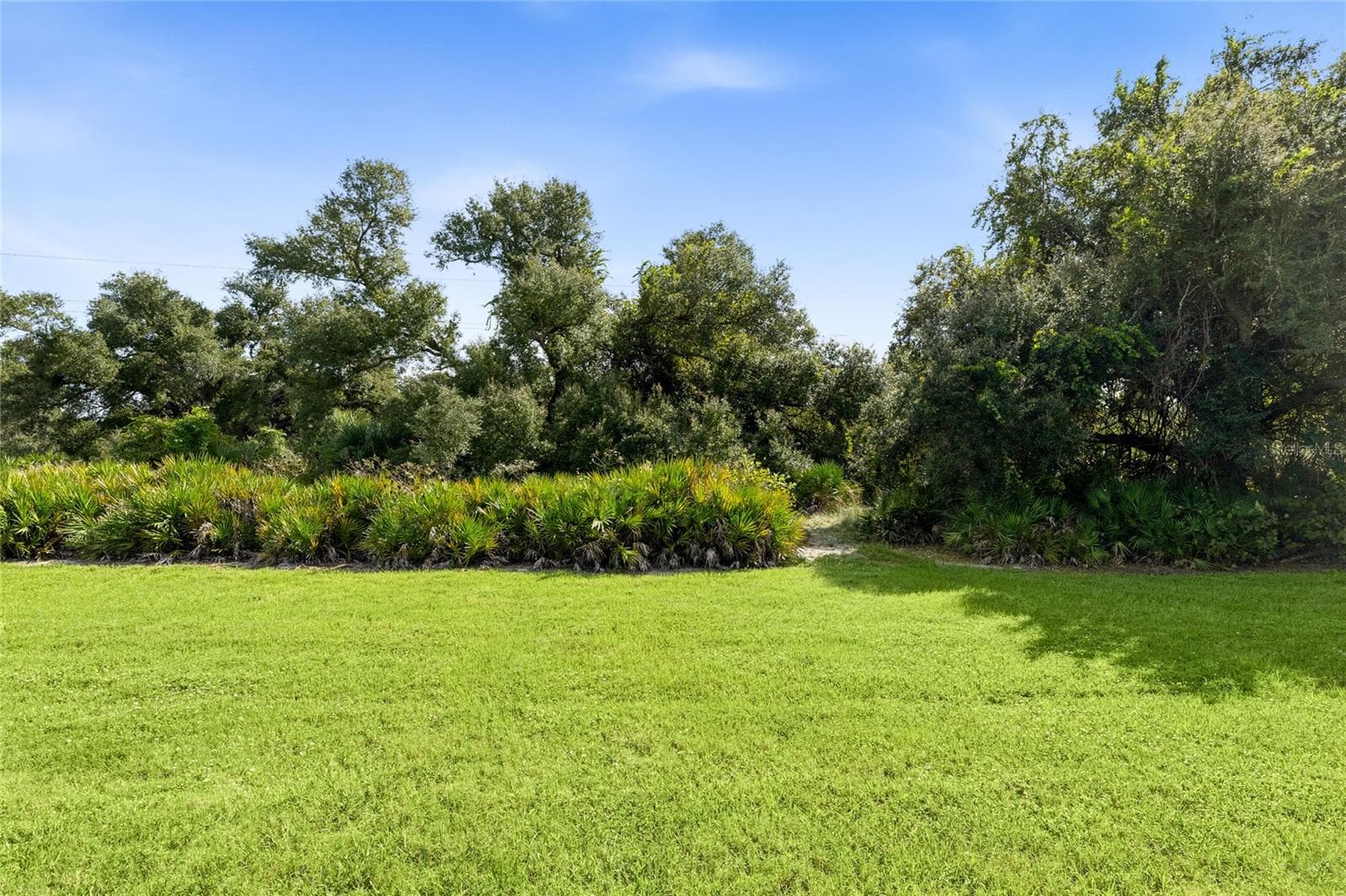 Rear of home is lush landscaping. - 14726 EAGLE BRANCH DR, NOKOMIS