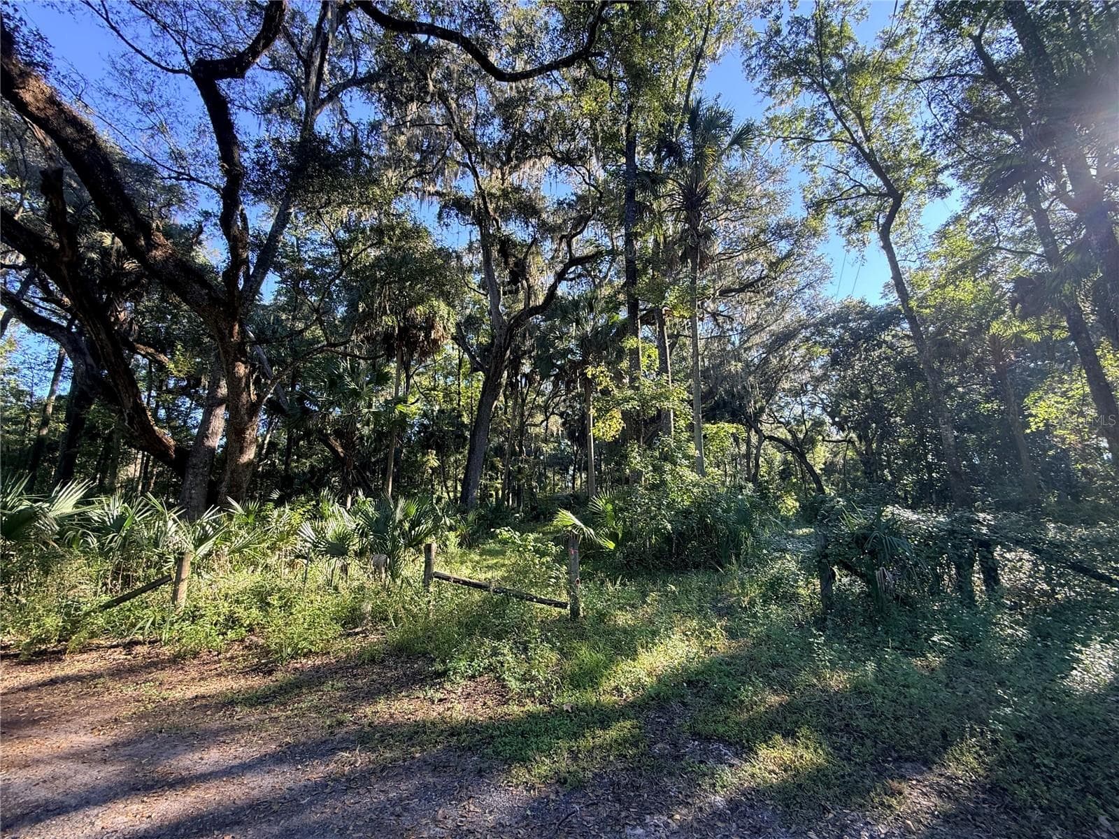 Land at 2701 NE 175TH STREET RD, CITRA, photo 3 of 8
