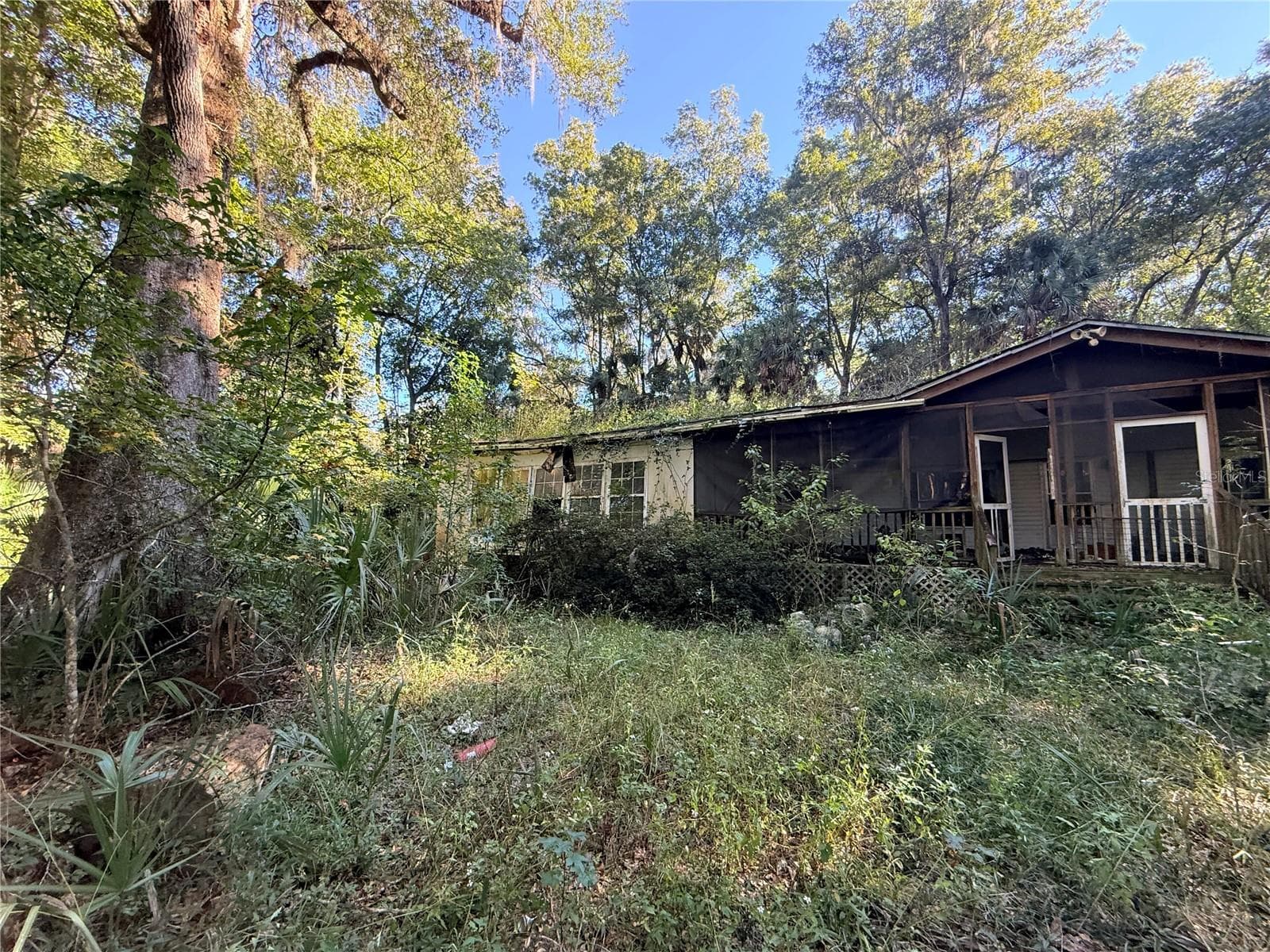 Land at 2701 NE 175TH STREET RD, CITRA, photo 5 of 8