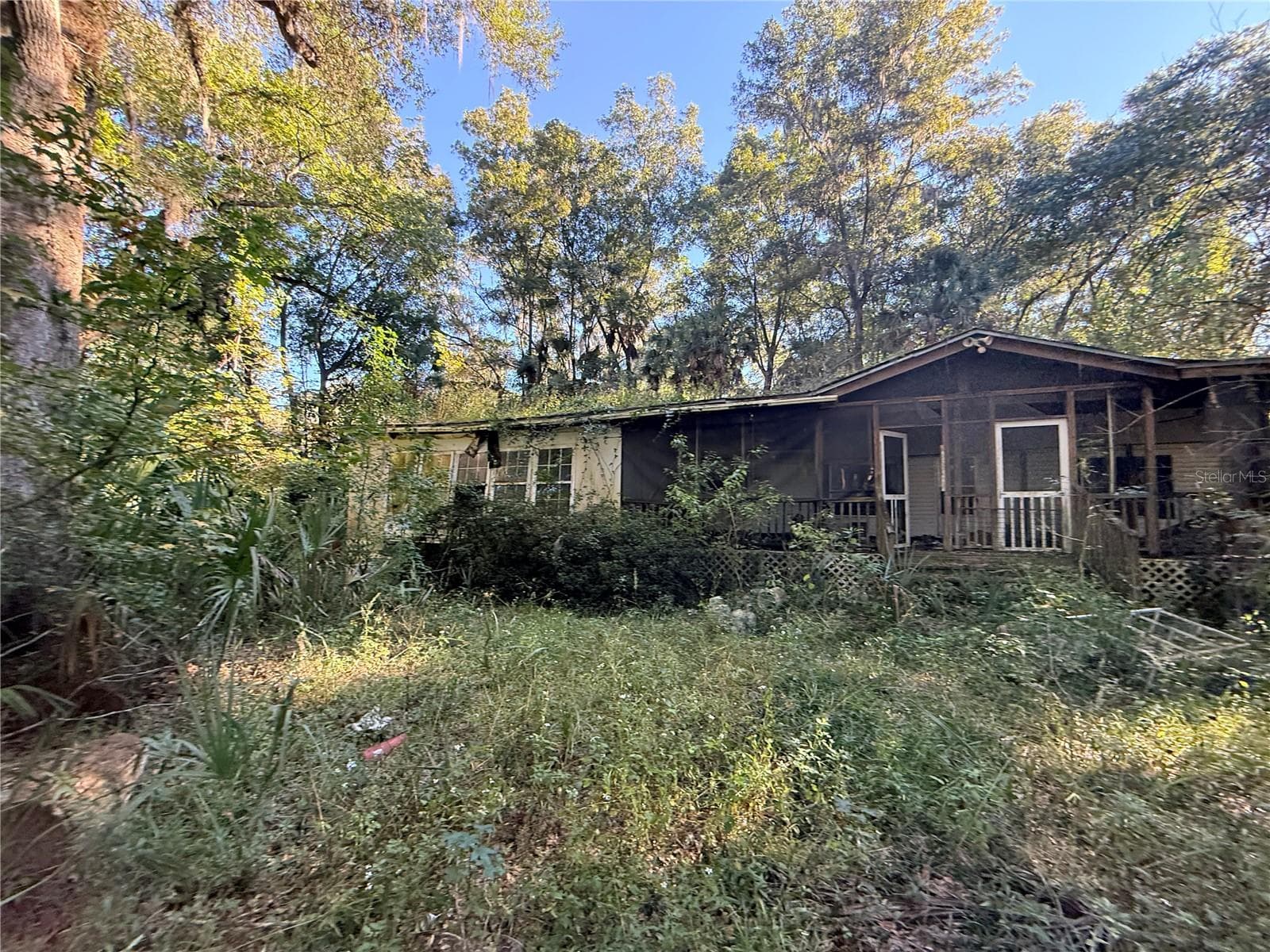 Land at 2701 NE 175TH STREET RD, CITRA, photo 6 of 8