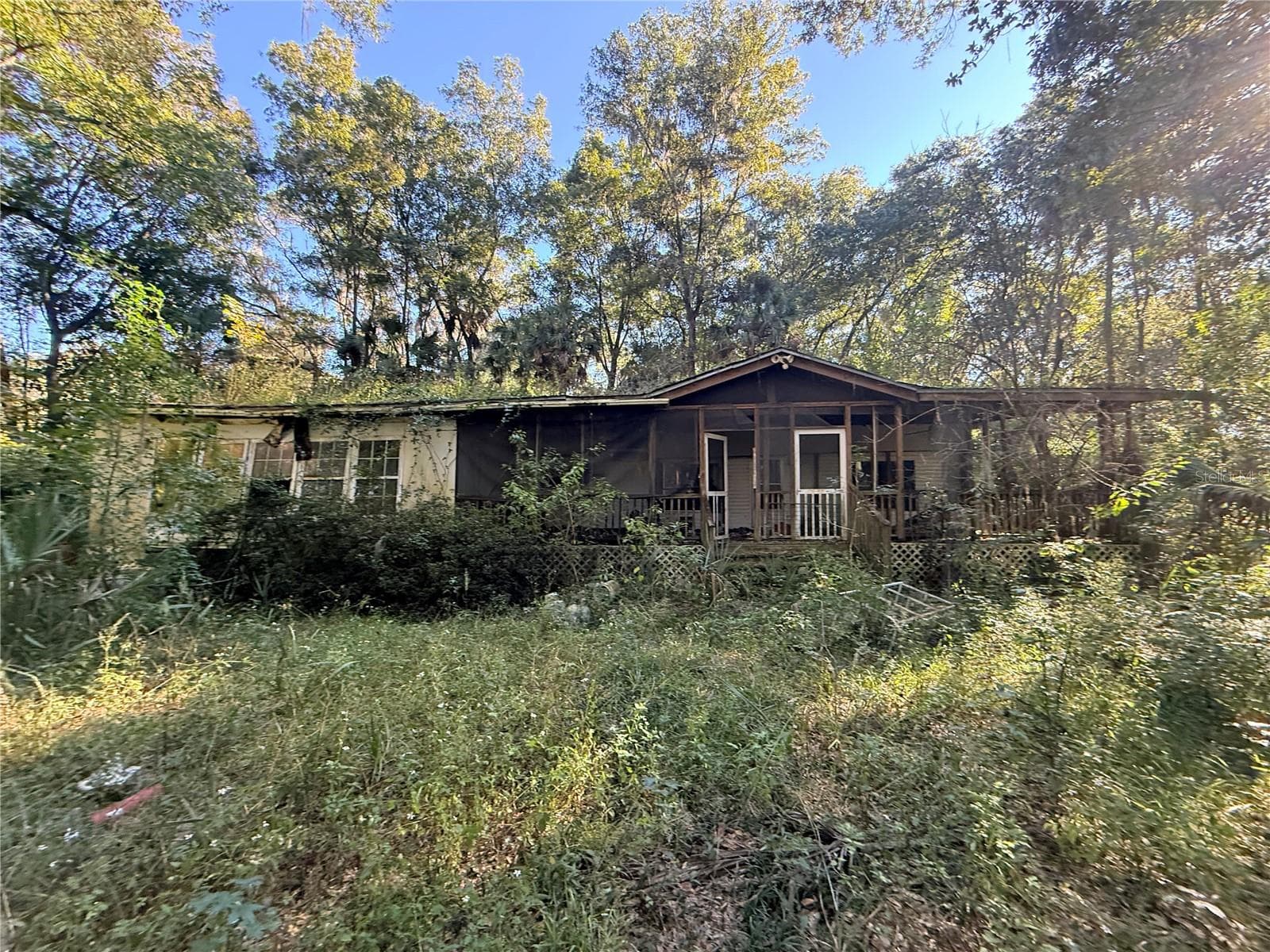 Land at 2701 NE 175TH STREET RD, CITRA, photo 7 of 8
