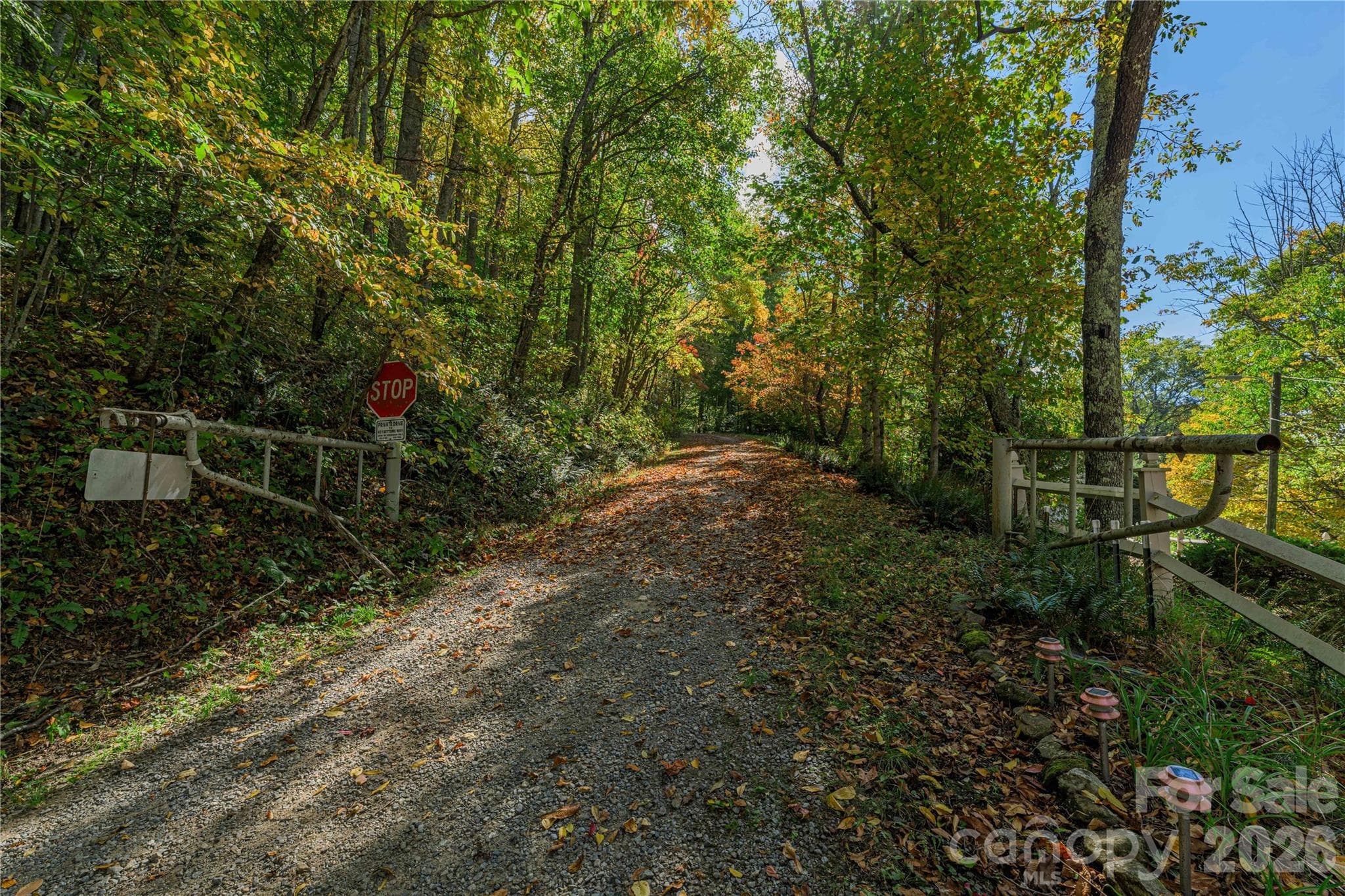 Acreage at TBD Windaleir Lane, Waynesville, photo 12 of 34