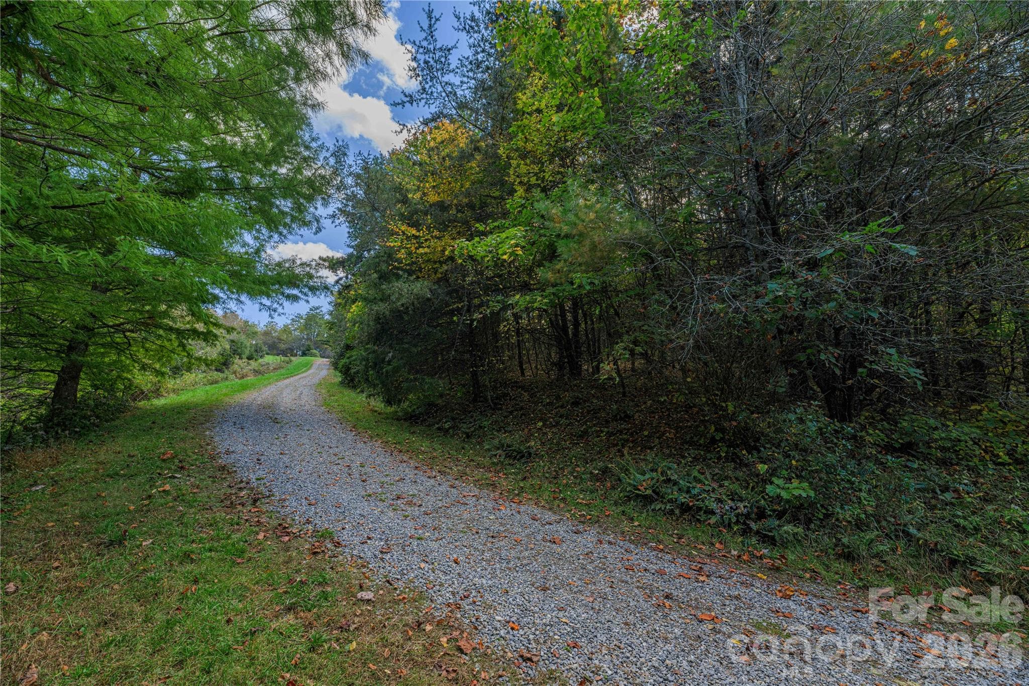 Acreage at TBD Windaleir Lane, Waynesville, photo 15 of 34