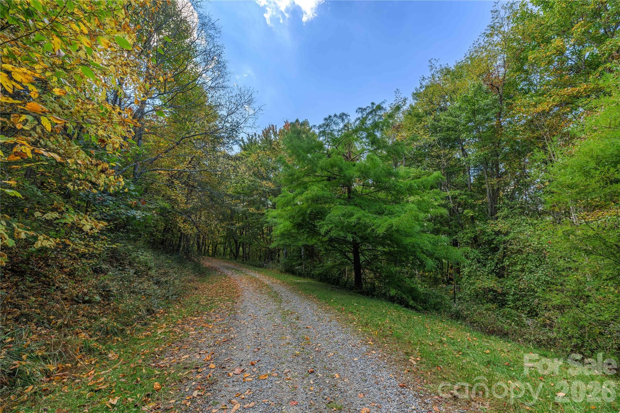 Acreage at TBD Windaleir Lane, Waynesville, photo 16 of 34