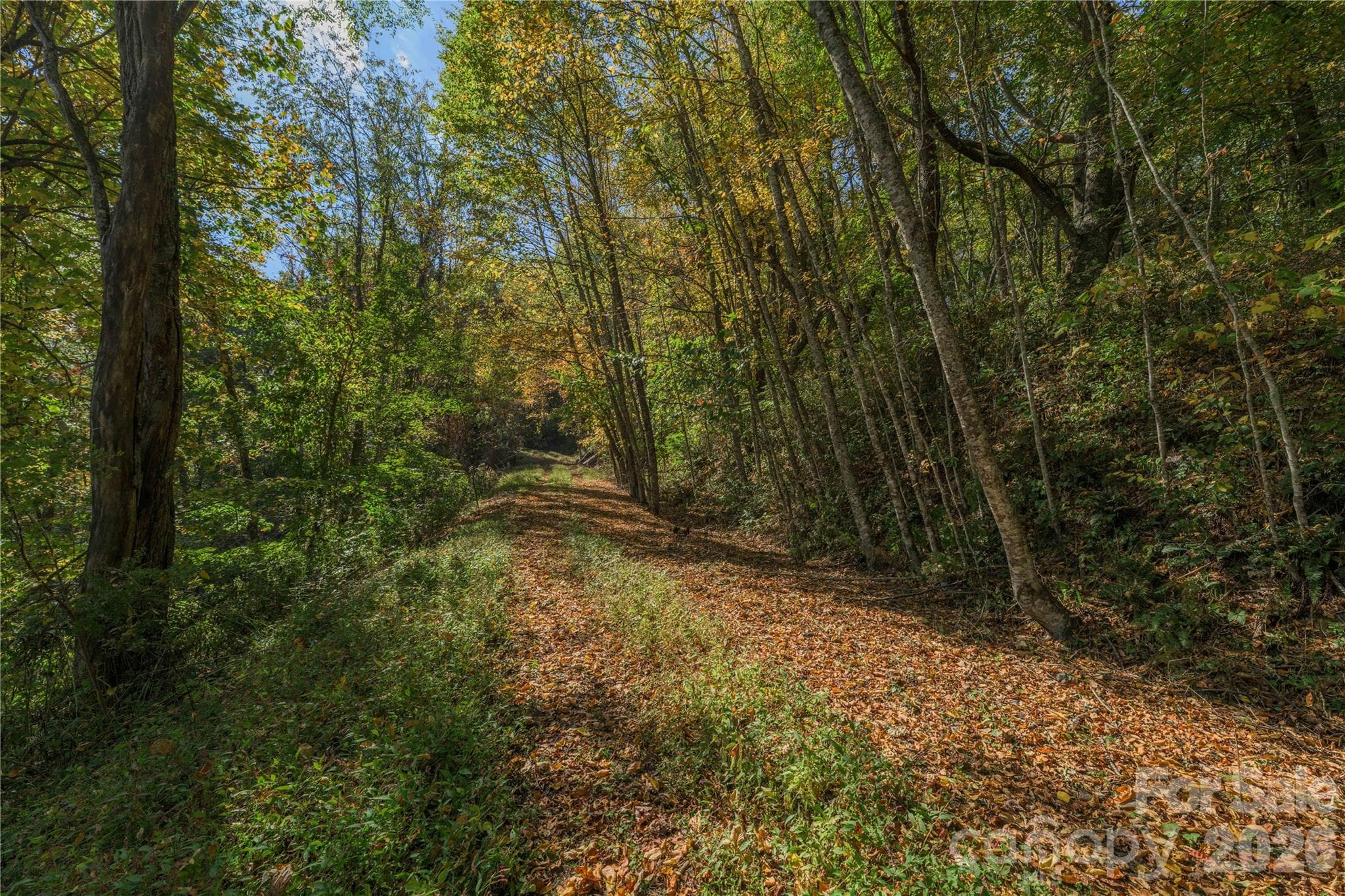 Acreage at TBD Windaleir Lane, Waynesville, photo 24 of 34