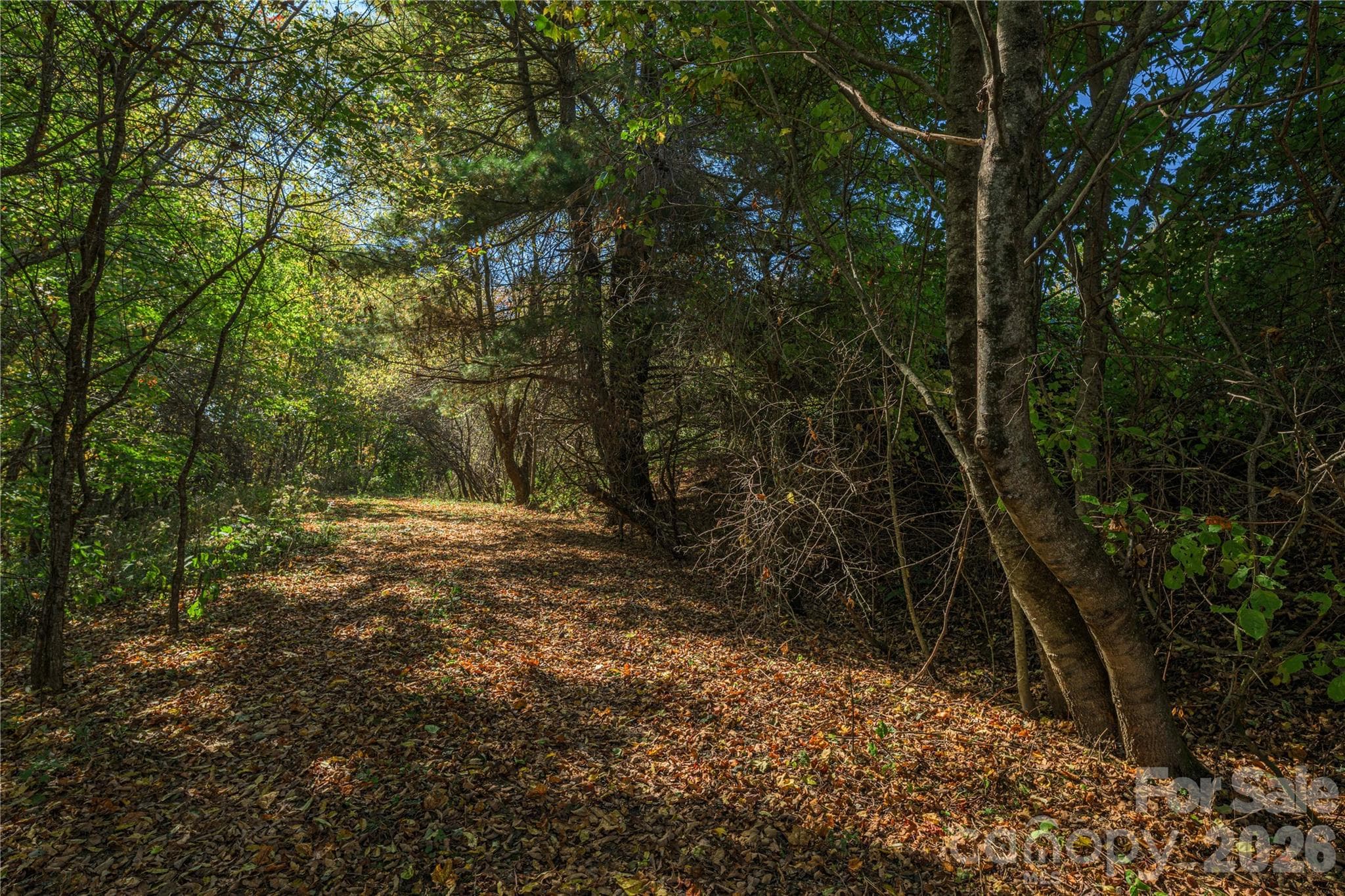Acreage at TBD Windaleir Lane, Waynesville, photo 26 of 34