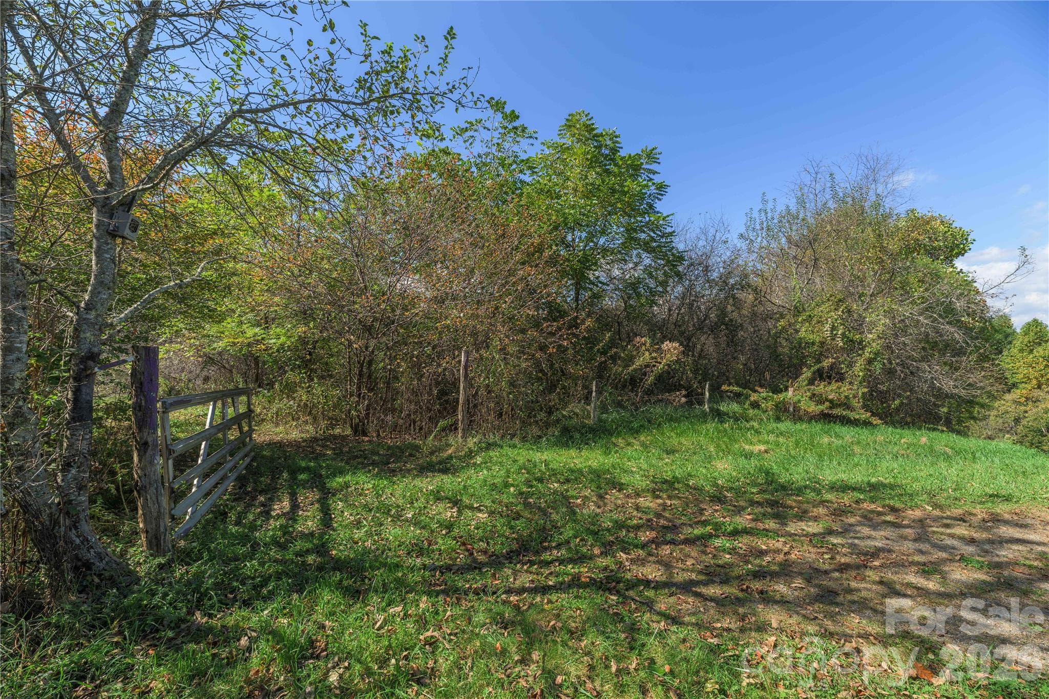 Acreage at TBD Windaleir Lane, Waynesville, photo 28 of 34