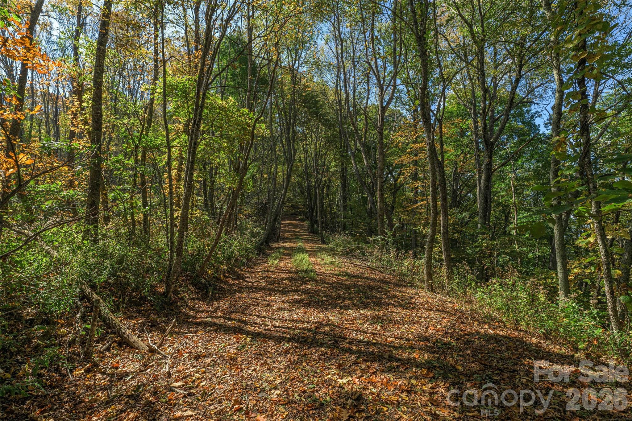 Acreage at TBD Windaleir Lane, Waynesville, photo 30 of 34