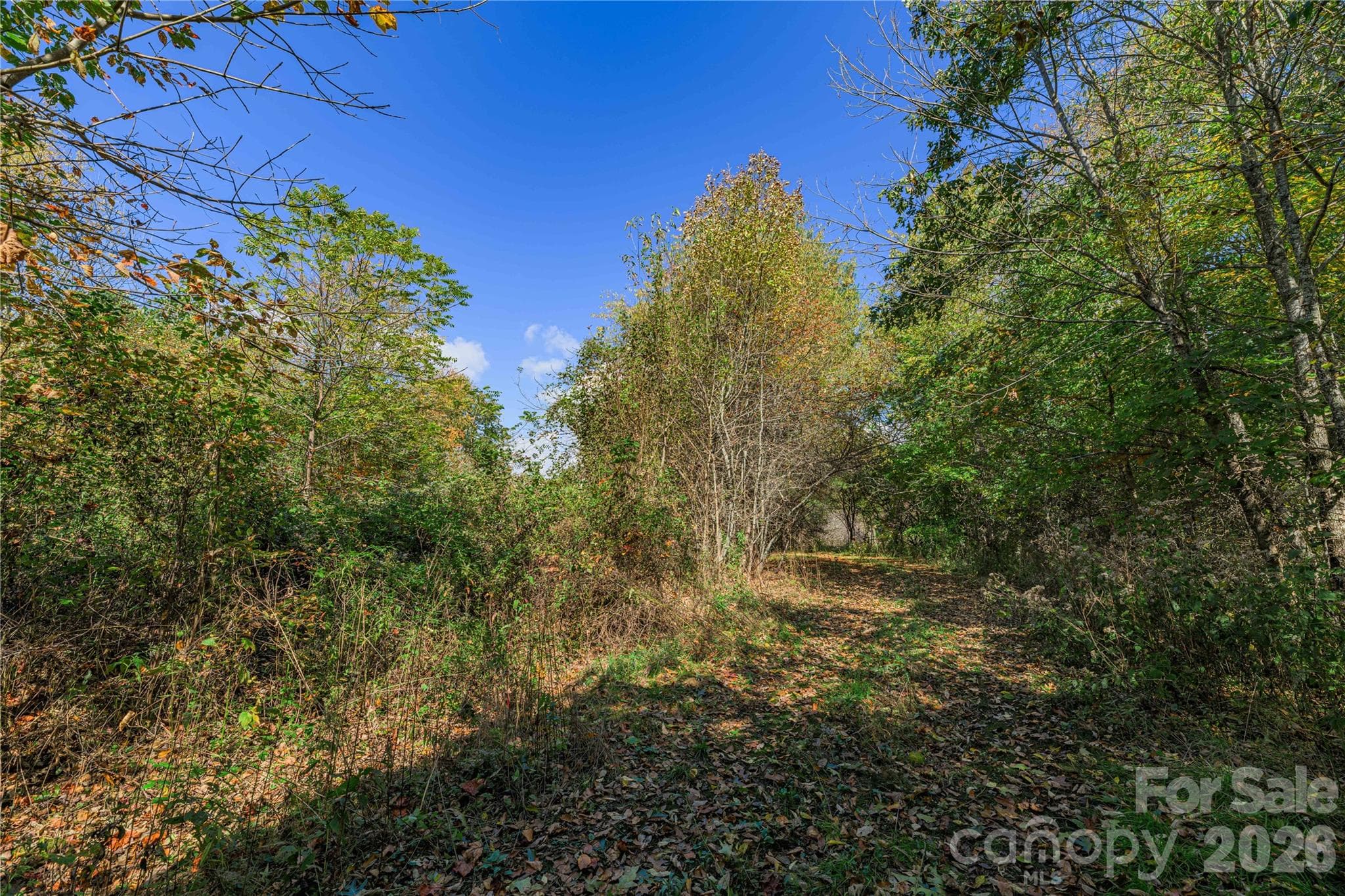 Acreage at TBD Windaleir Lane, Waynesville, photo 31 of 34