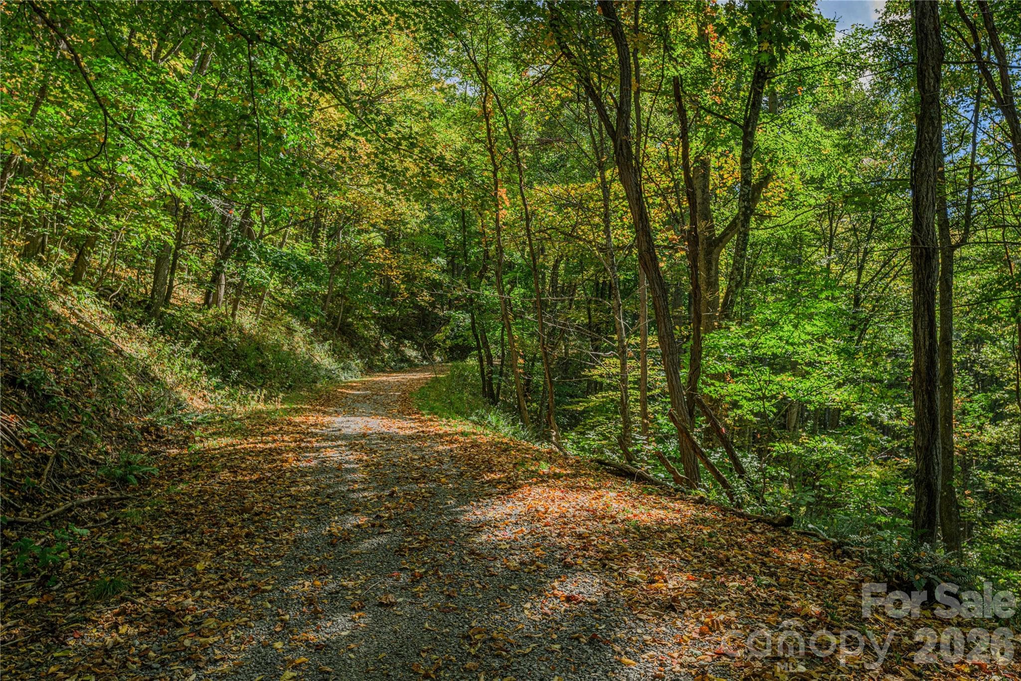 Acreage at TBD Windaleir Lane, Waynesville, photo 32 of 34