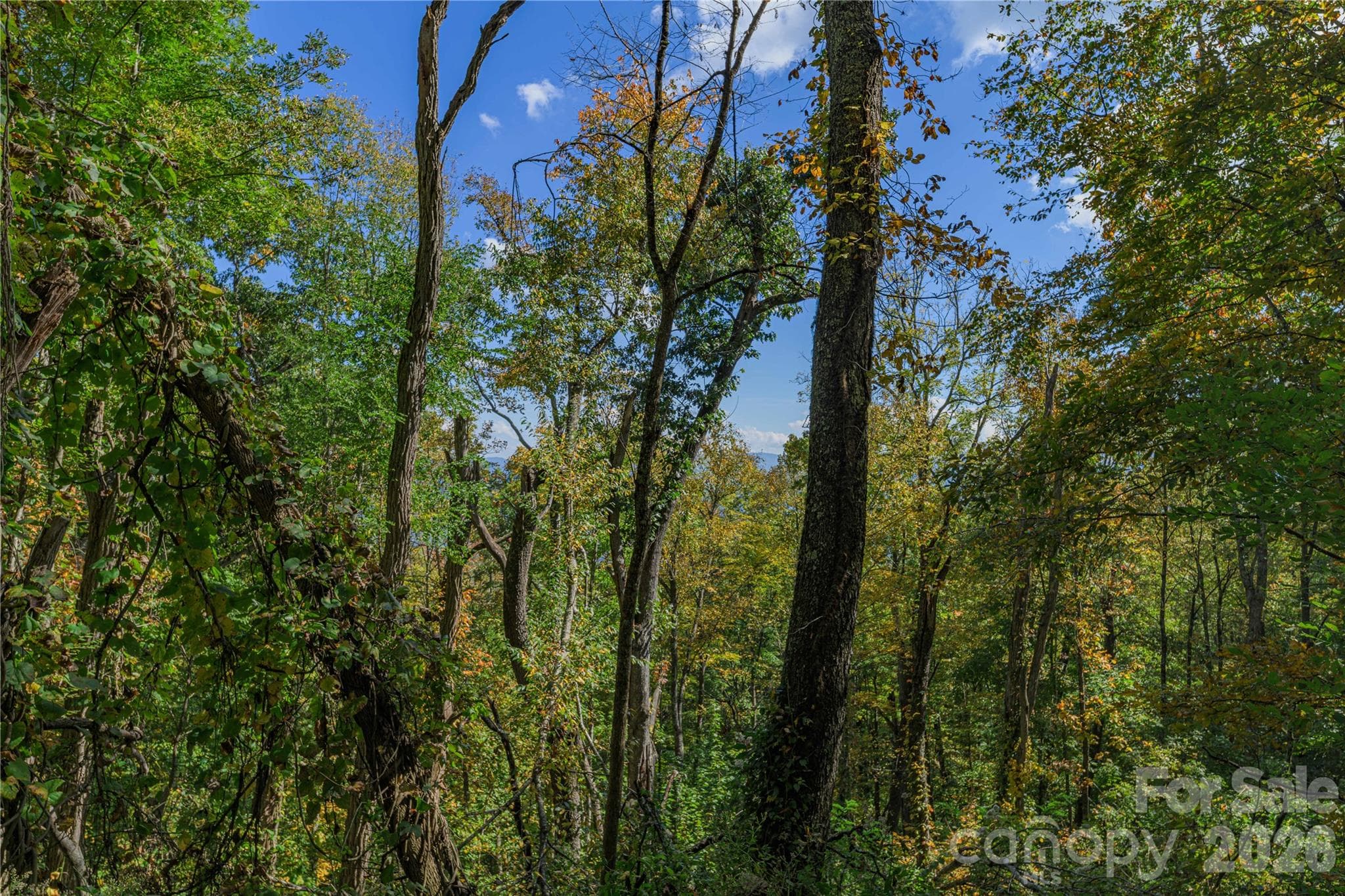 Acreage at TBD Windaleir Lane, Waynesville, photo 34 of 34