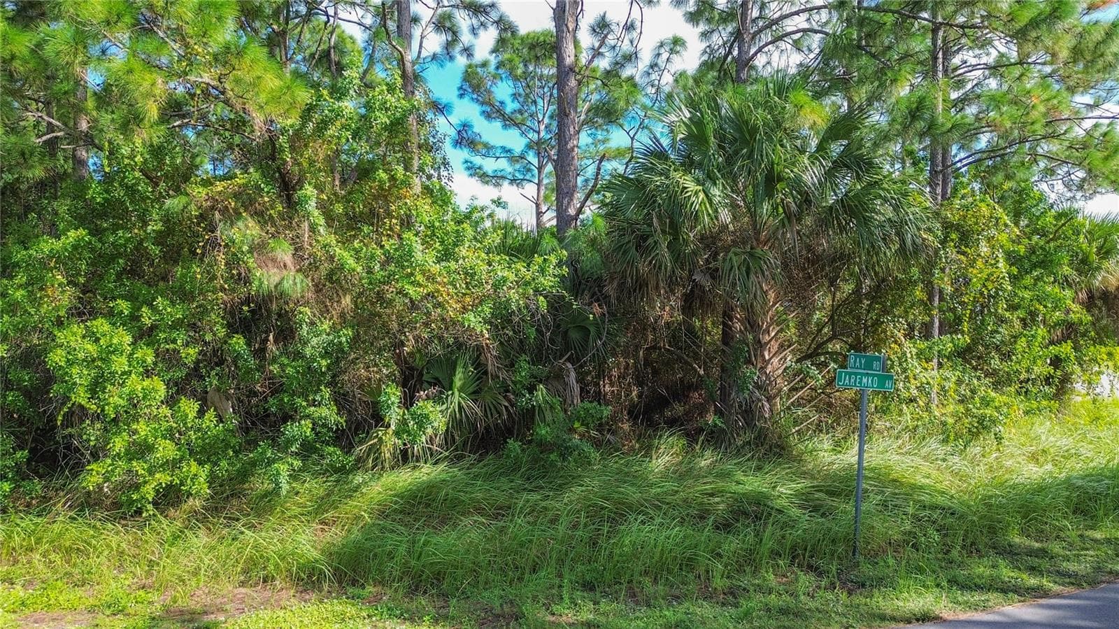 Land at 0 SE RAY RD, PALM BAY, photo 9 of 23
