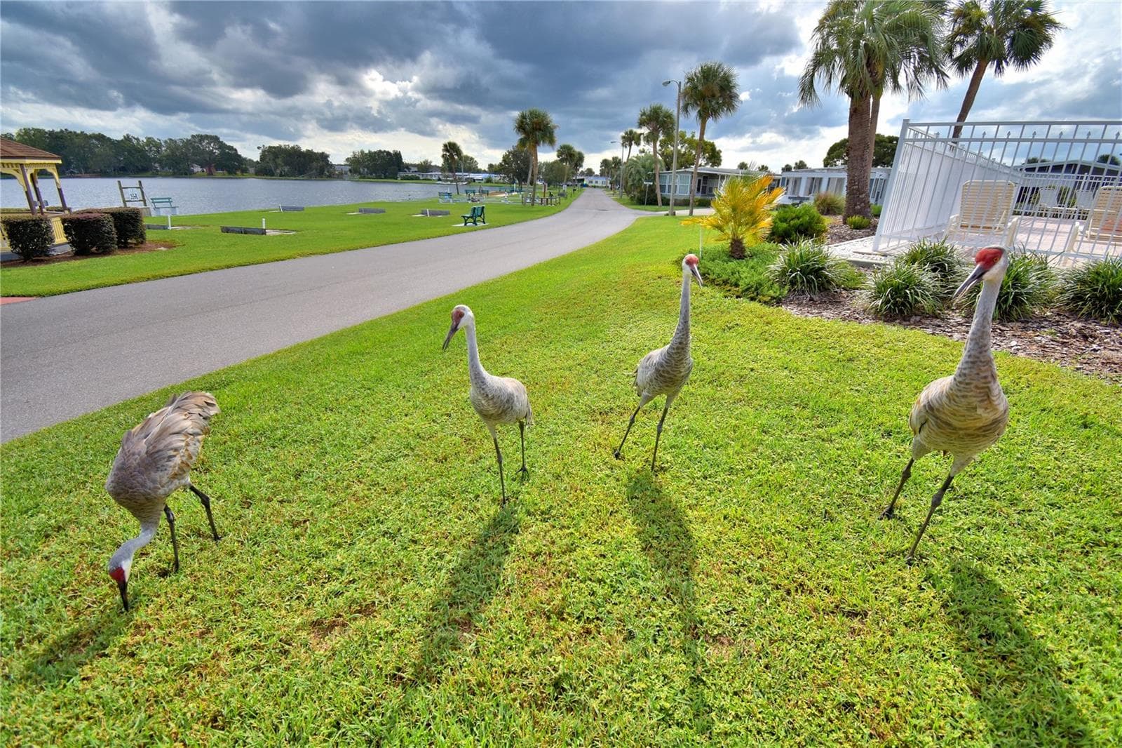 Manufactured Home at 4235 CEDARWOOD ST, WINTER HAVEN, photo 52 of 66