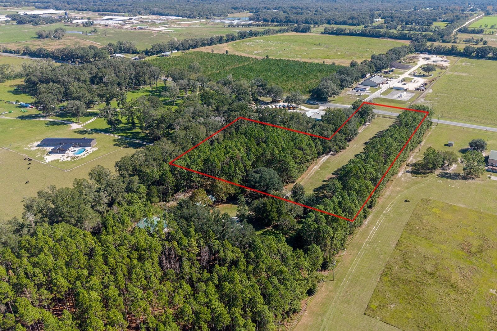 Land at 00 S HWY 129, BELL, photo 4 of 5