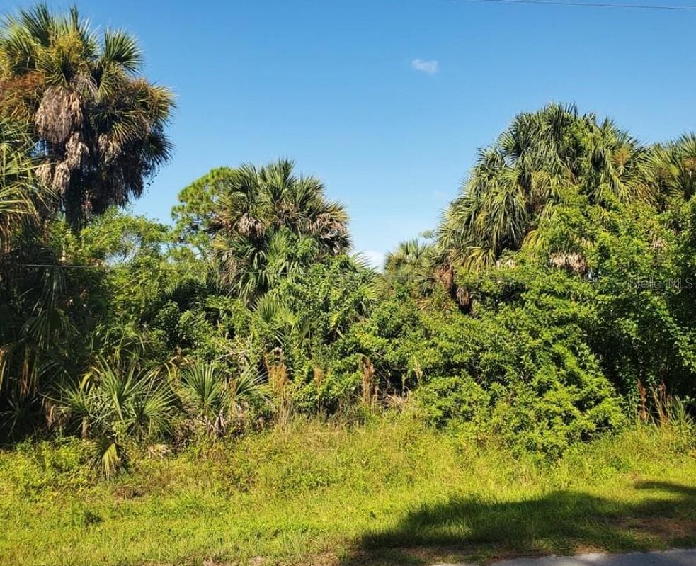 Land at 12274 DEFENDER DR, PORT CHARLOTTE, photo 3 of 5