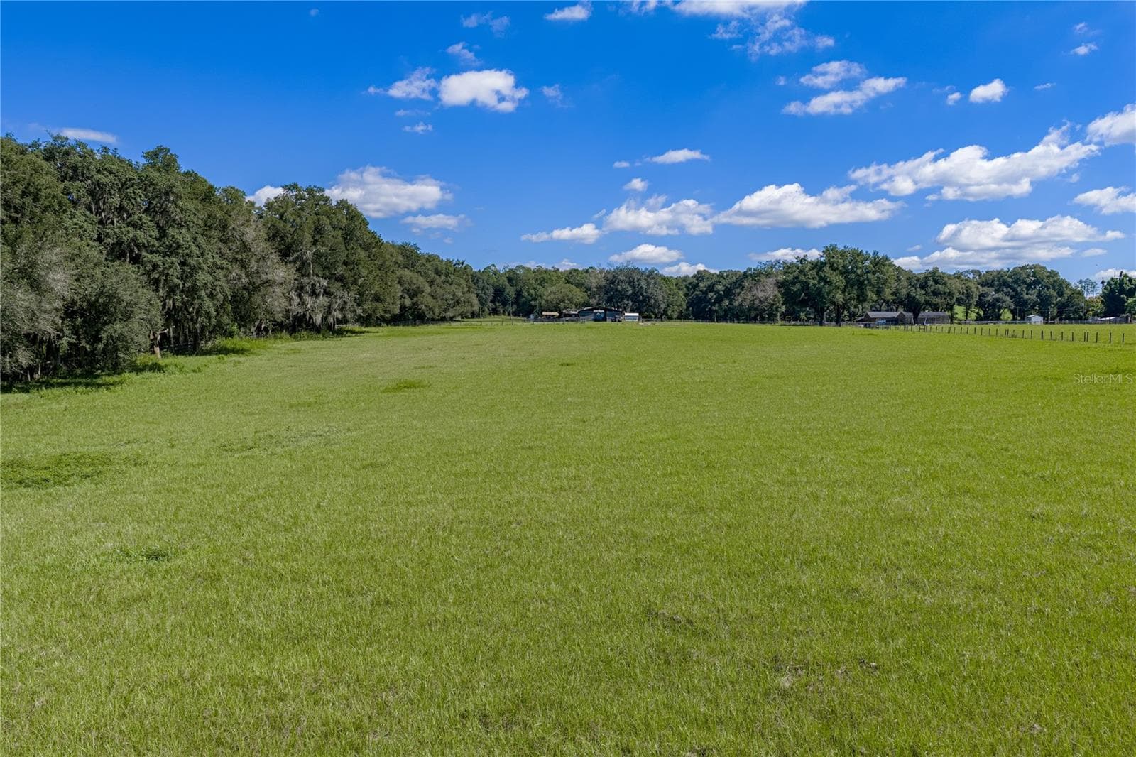Single Family Residence at 36628 BLANTON RD, DADE CITY, photo 66 of 67
