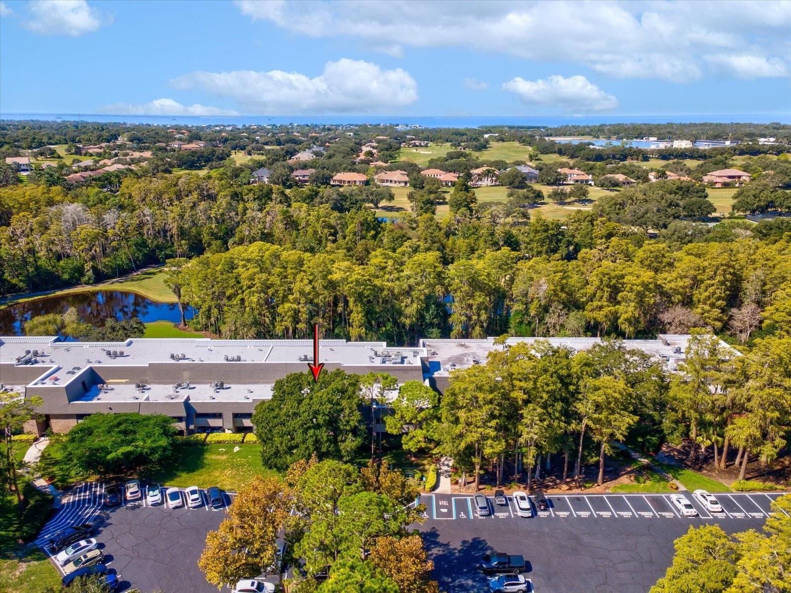Condominium at 36750 US HIGHWAY 19 N #2372, PALM HARBOR, photo 2 of 56