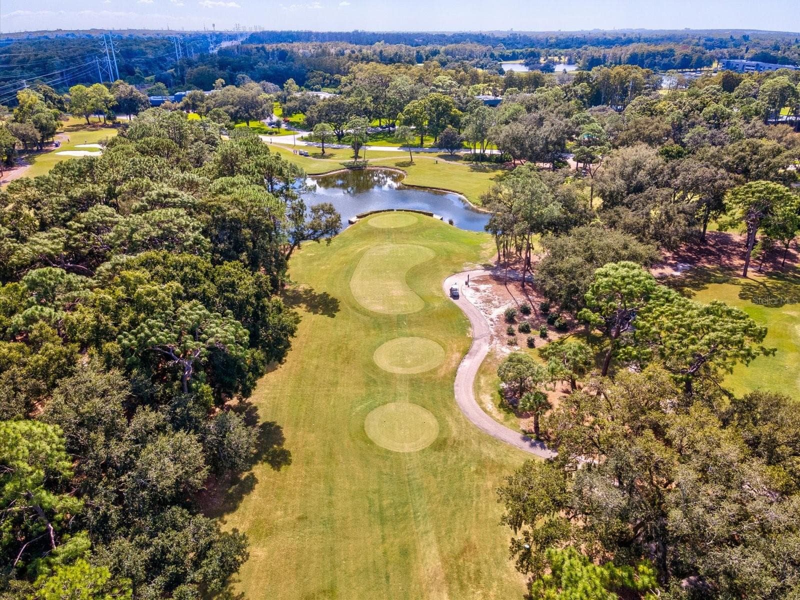 Condominium at 36750 US HIGHWAY 19 N #2372, PALM HARBOR, photo 51 of 56