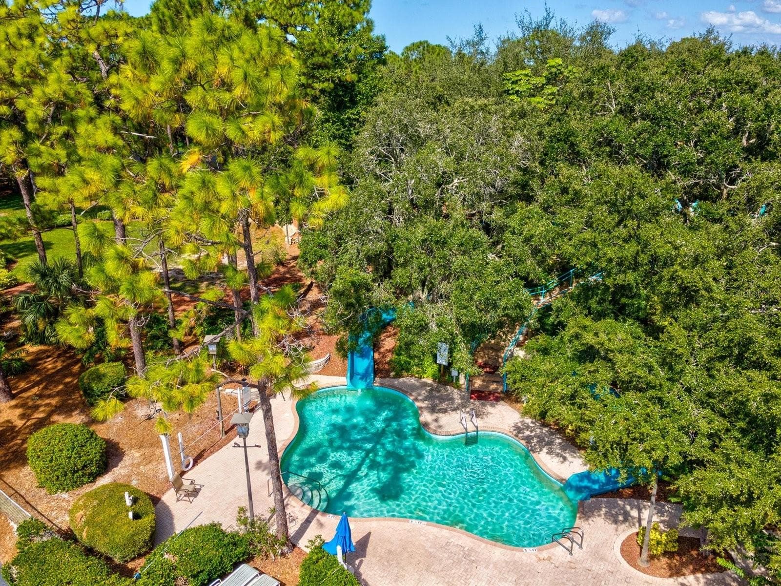 Condominium at 36750 US HIGHWAY 19 N #2372, PALM HARBOR, photo 56 of 56