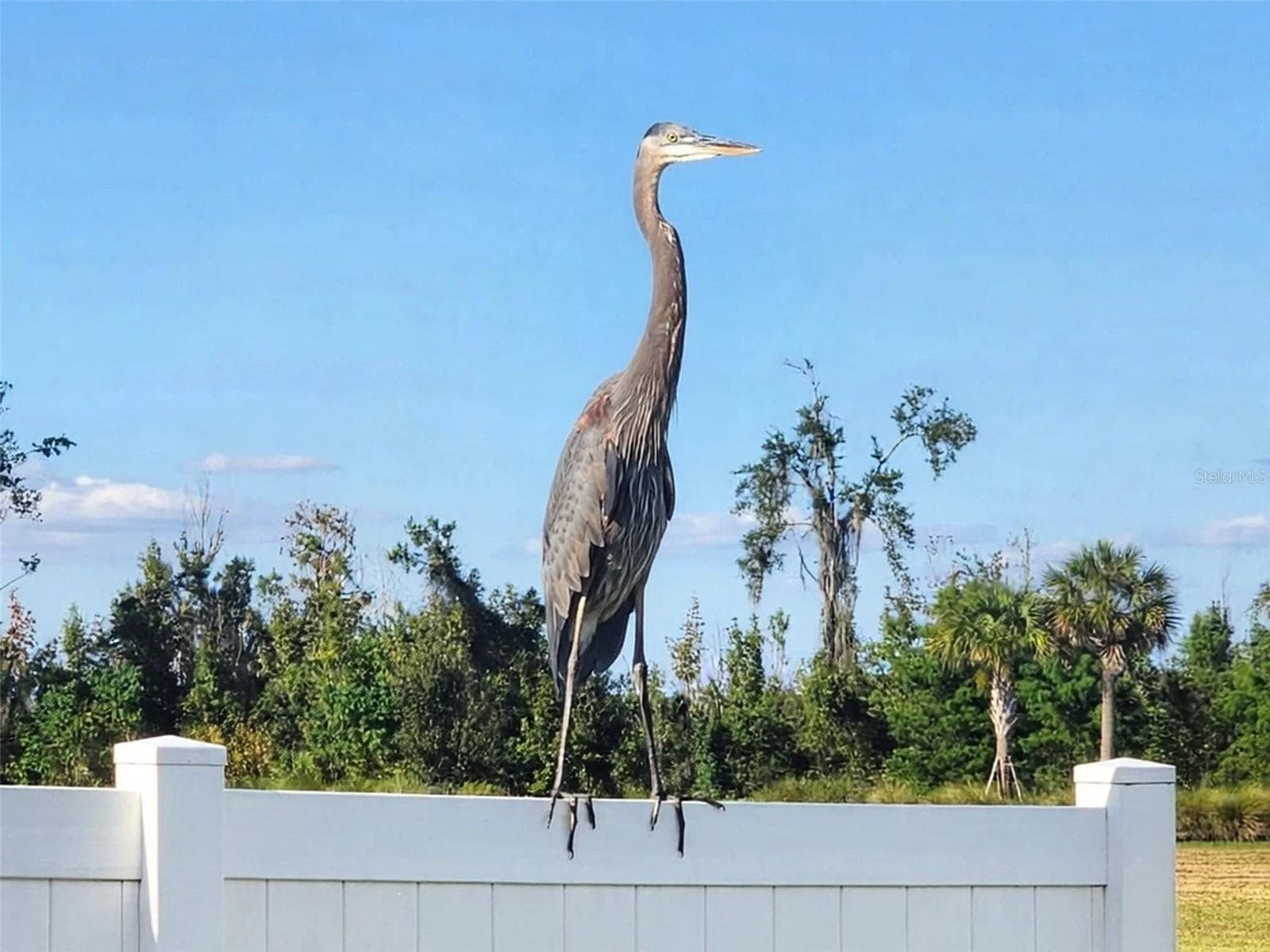 Heron - 2227 LANDREA LOOP, THE VILLAGES