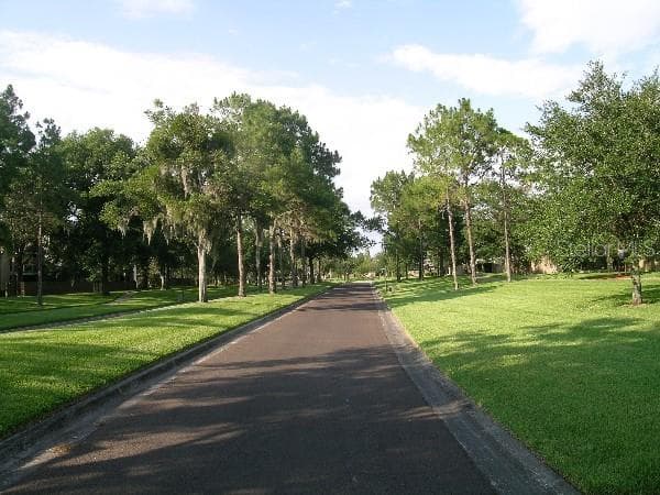 manicured tree-lined roadways. - 1113 WATERFALL LN, LAKELAND