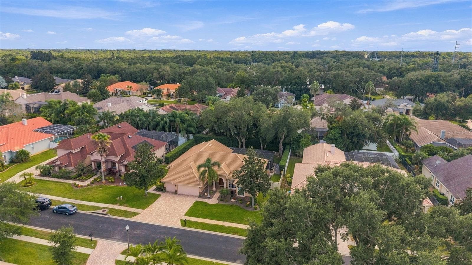 Single Family Residence at 1663 CANOPY OAKS BLVD, PALM HARBOR, photo 3 of 60
