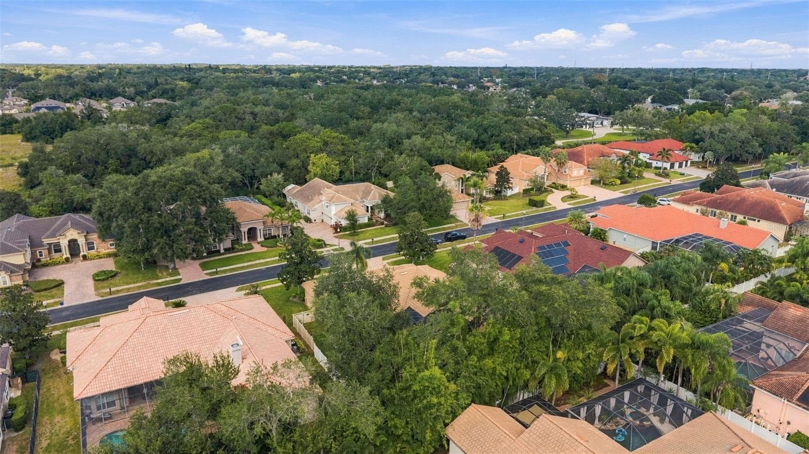 Single Family Residence at 1663 CANOPY OAKS BLVD, PALM HARBOR, photo 52 of 60