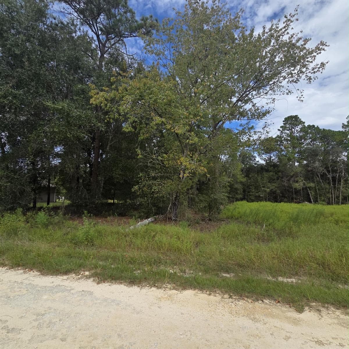 Land at Lot 14 SW 28TTH LN, OCALA, photo 2 of 6